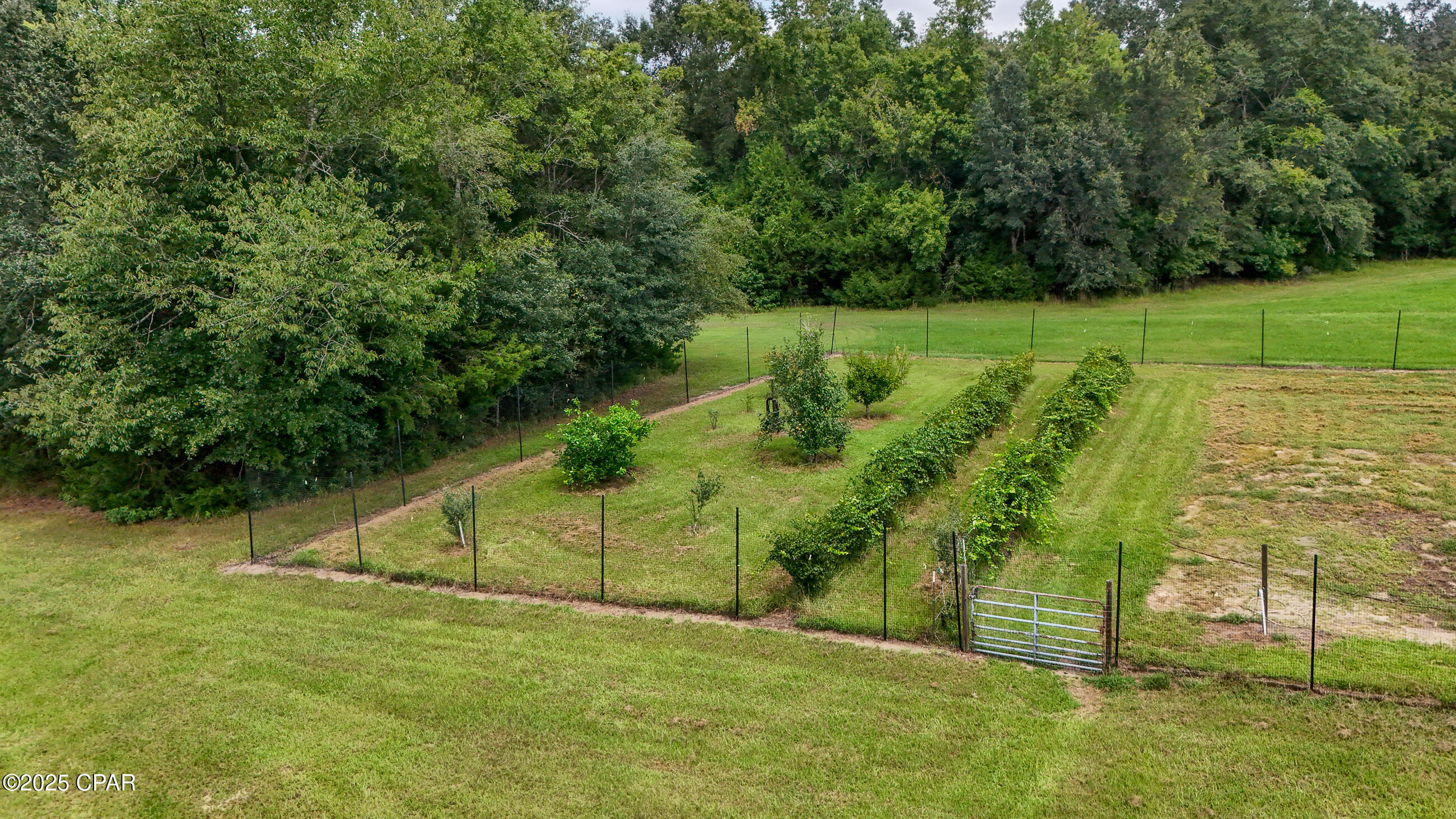 Image 34 For 3754 Annie Road