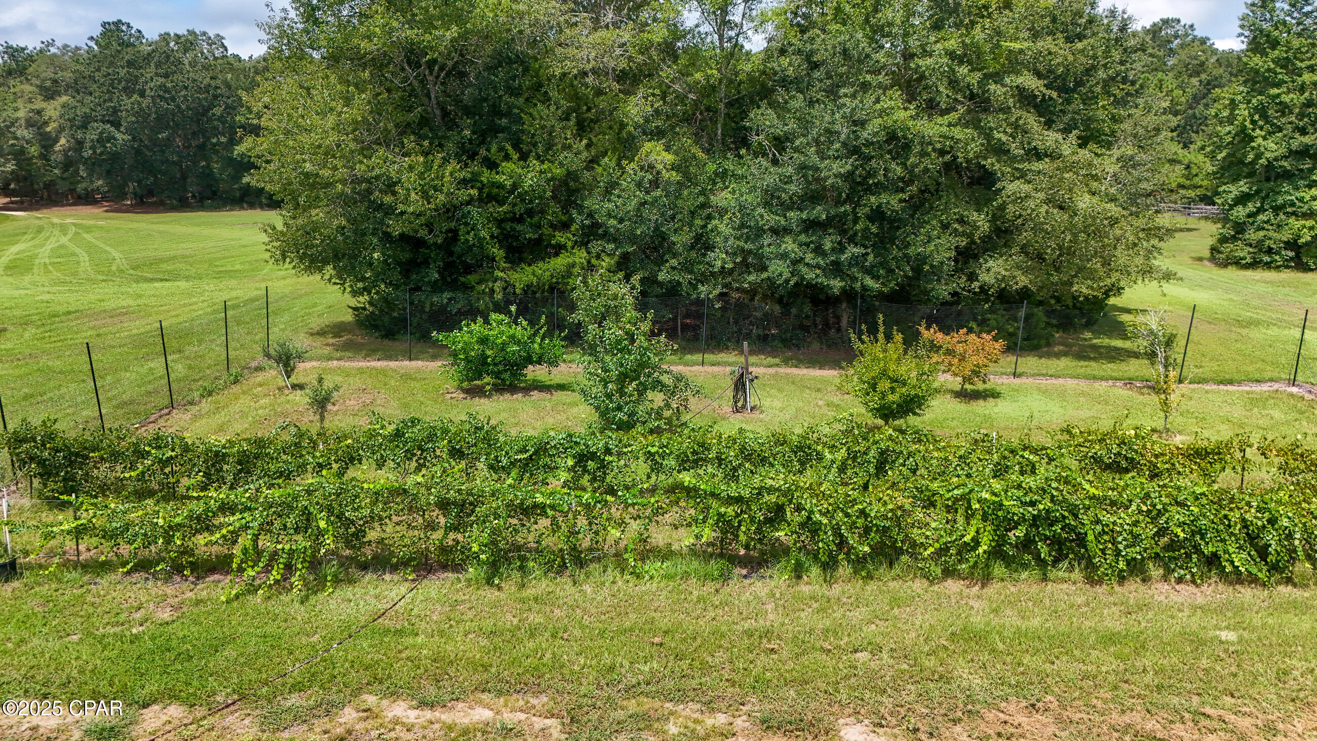 Image 35 For 3754 Annie Road