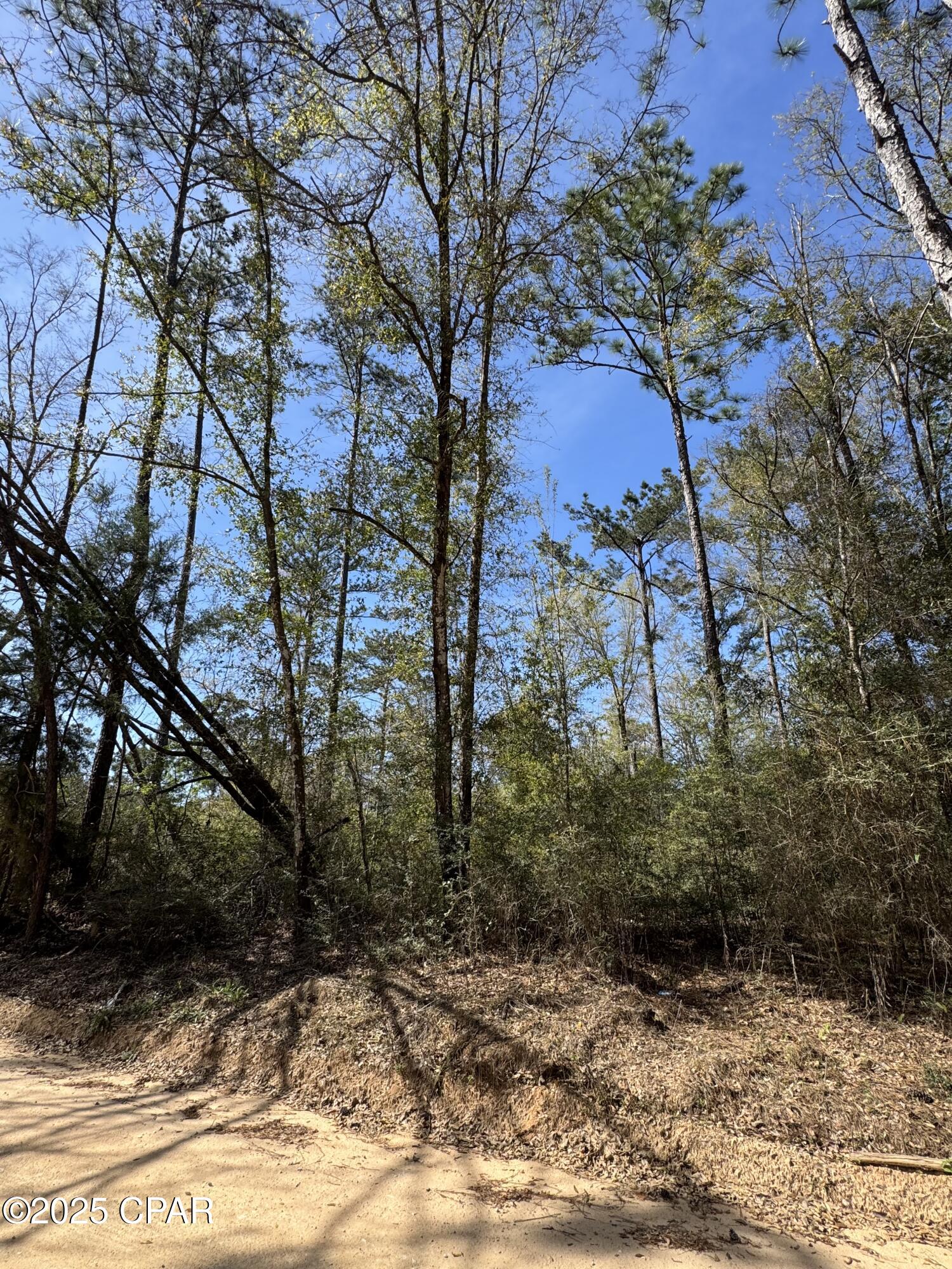 3rd image of 00 Sunday Rd, Chipley, FL 32428 | MLS# 770832