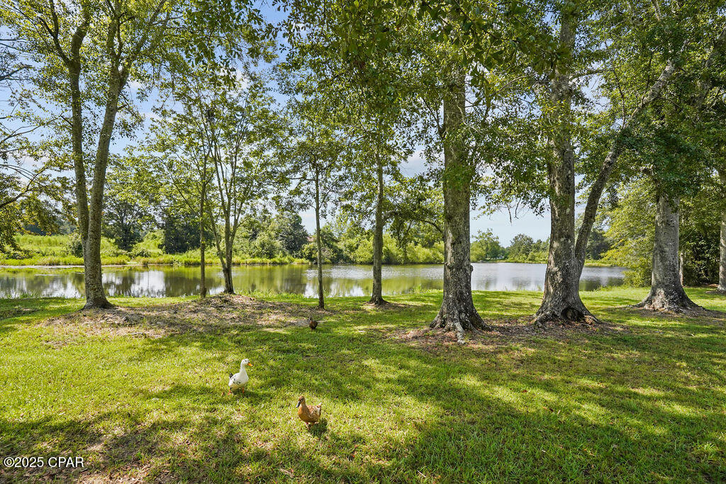 Image 74 For 1528 Hilltop Drive