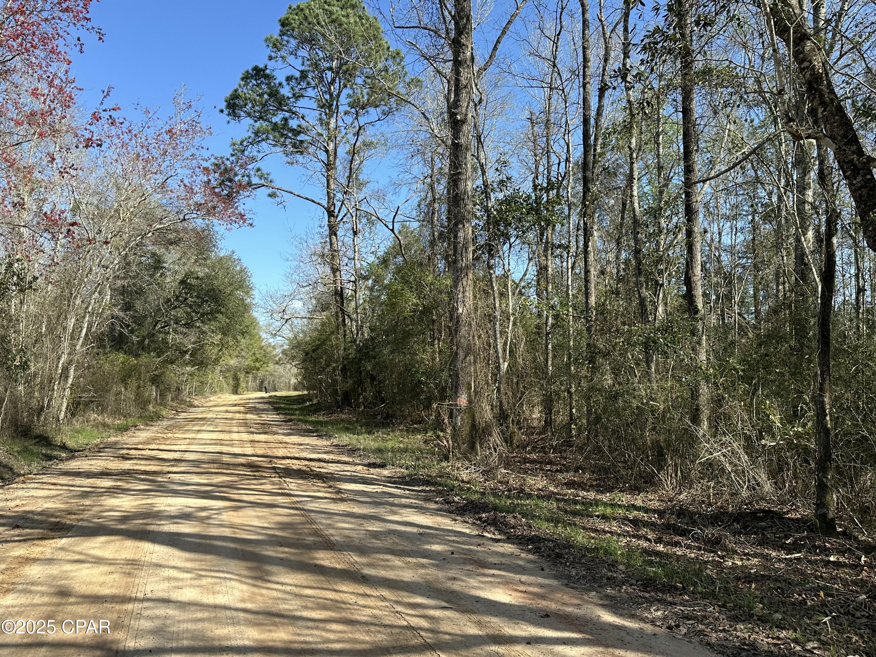 Details for Tract#6317 Harris Stevenson Road, Bonifay, FL 32425
