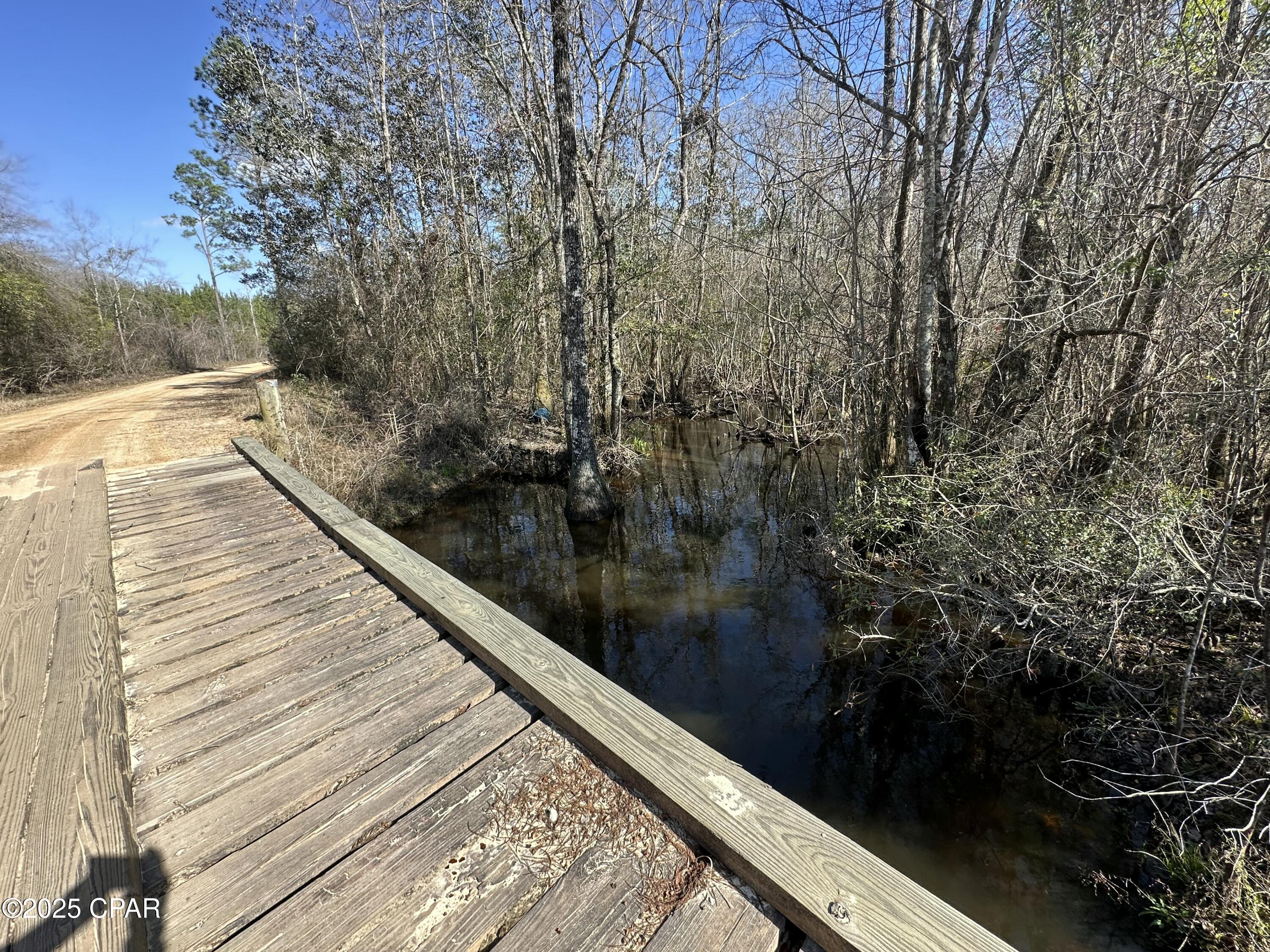 Listing photo id 12 for Tract#6317 Harris Stevenson Road