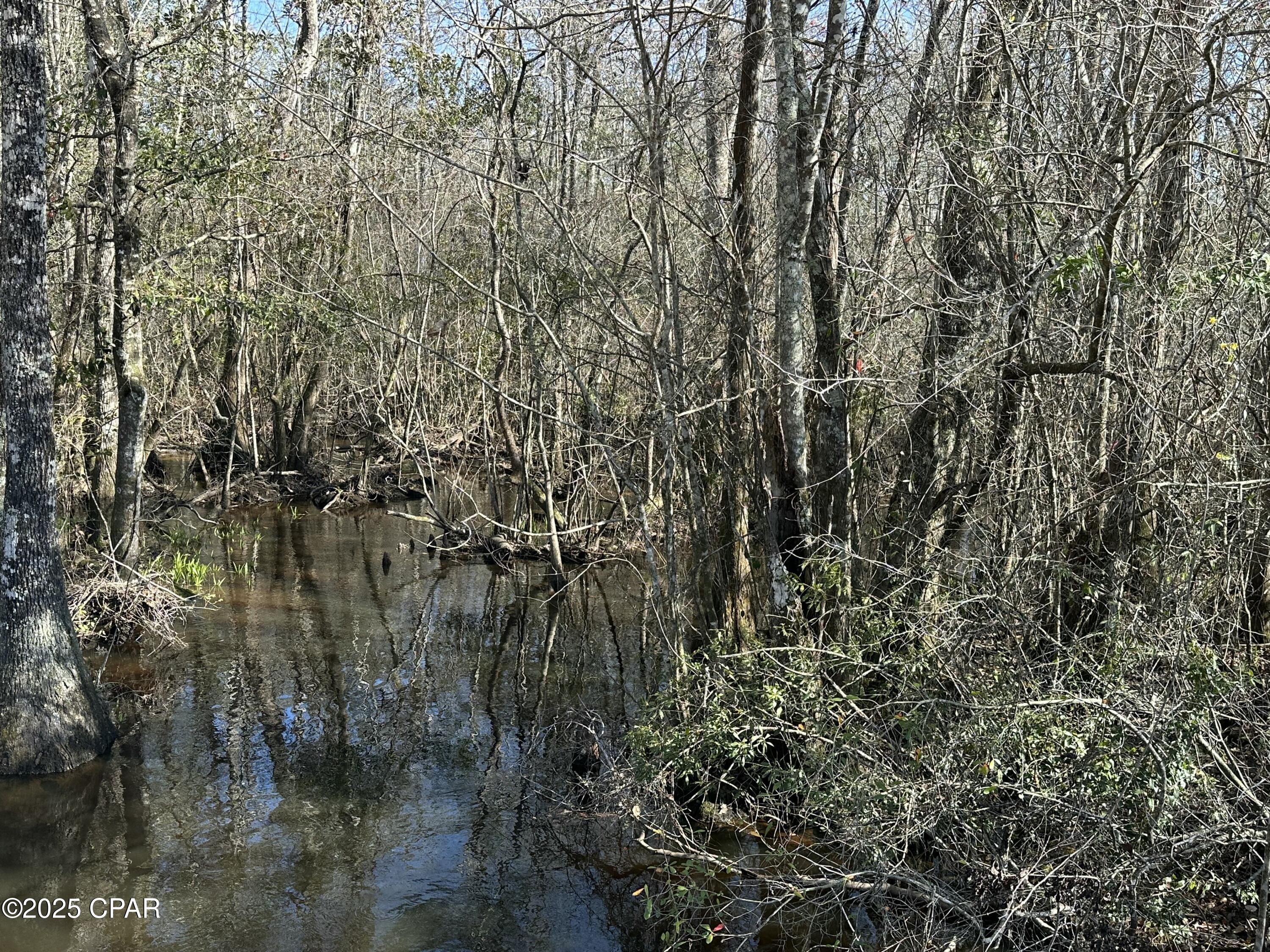 Listing photo id 13 for Tract#6317 Harris Stevenson Road