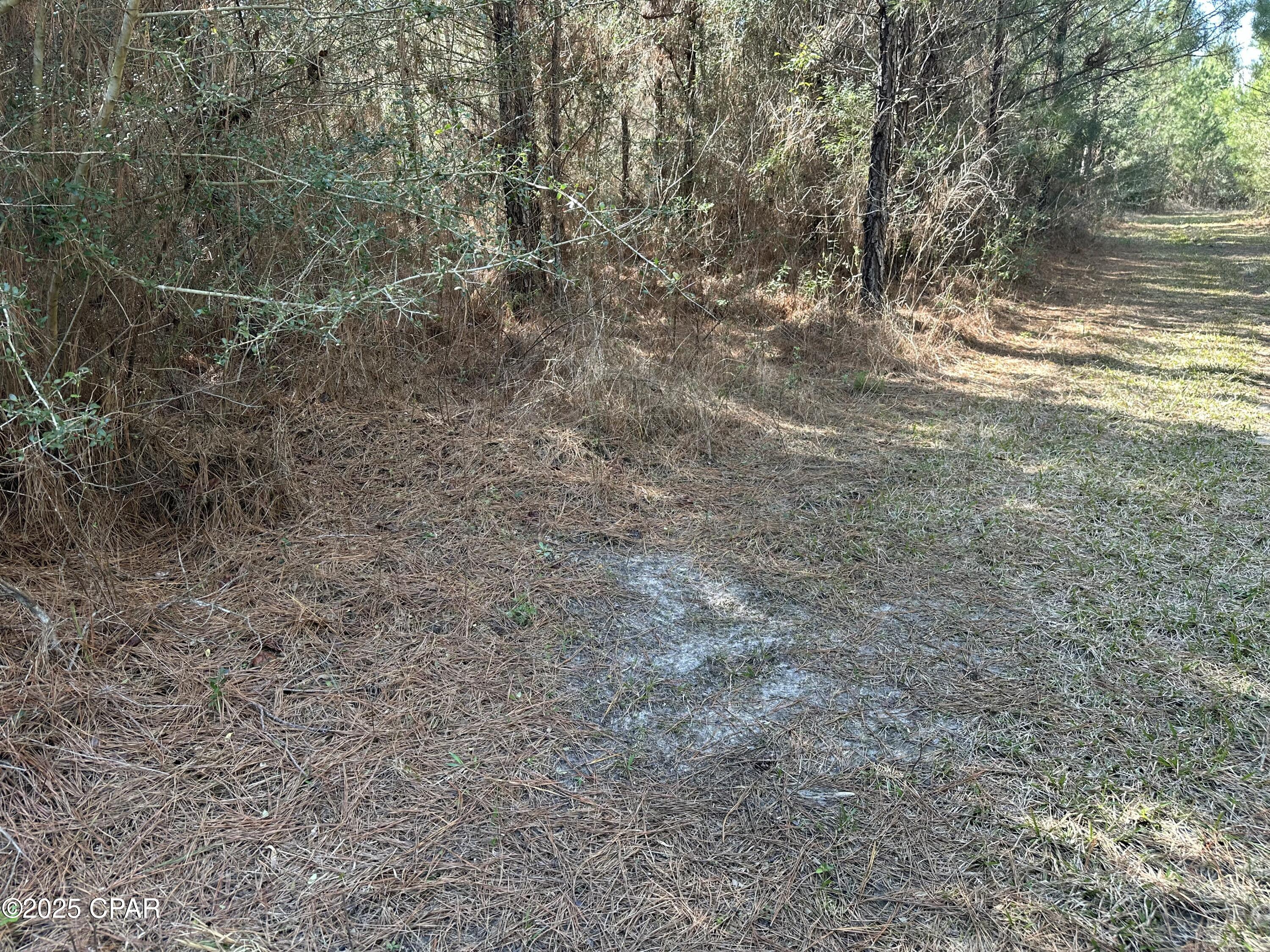 Listing photo id 6 for Tract#6317 Harris Stevenson Road