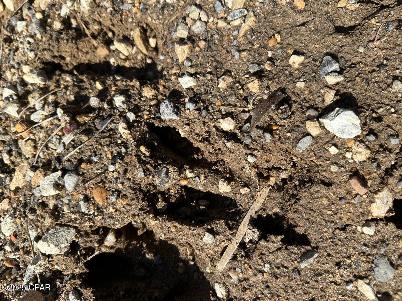 Details for Tract#6402 Chance Road, Chipley, FL 32428