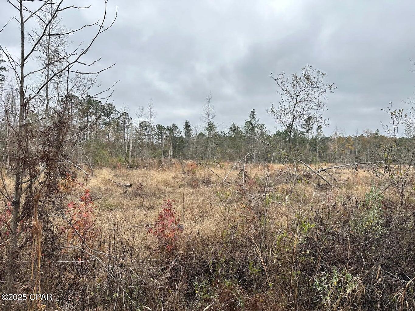 Image 5 For Tract#6402 Chance Road