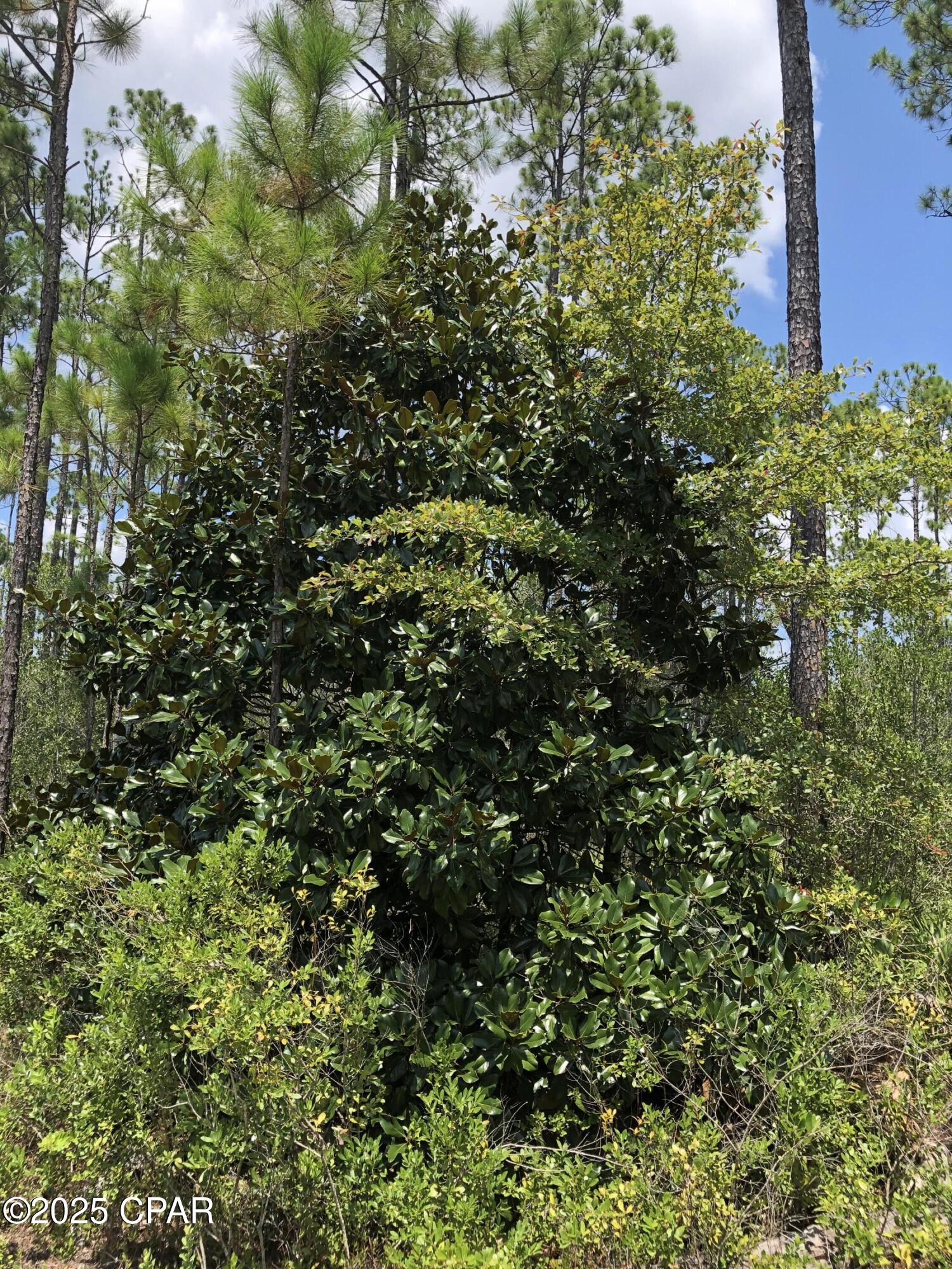 Image 3 For 0 Timbercrest Road