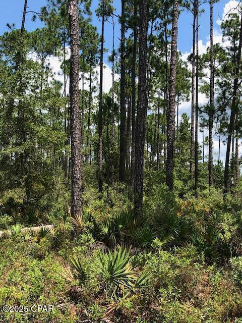 Image 7 For 0 Timbercrest Road