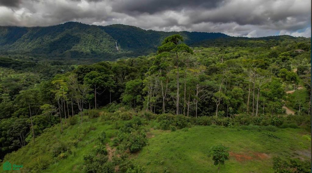 0 bed Land For Sale in Perez Zeledon, San Jose - 1