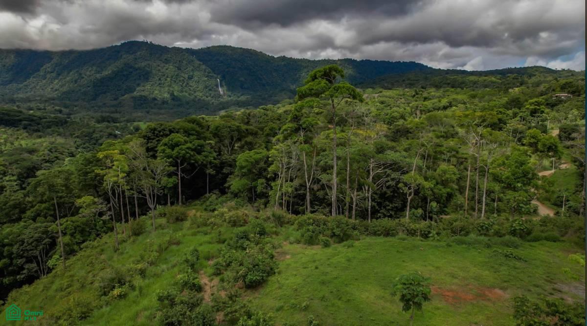 0 bed Land For Sale in Perez Zeledon, San Jose - 1