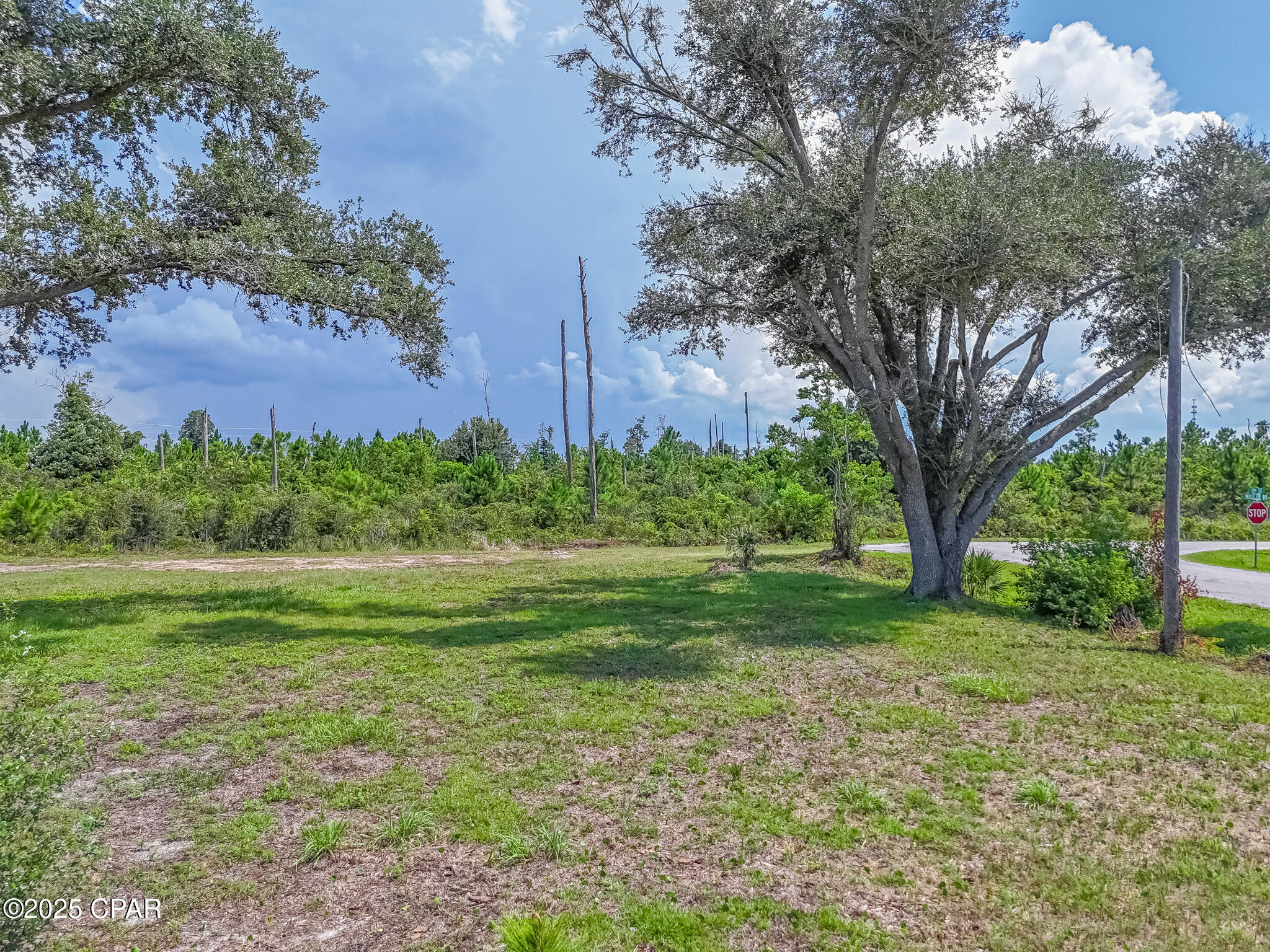 Image 16 For 113 13th Street