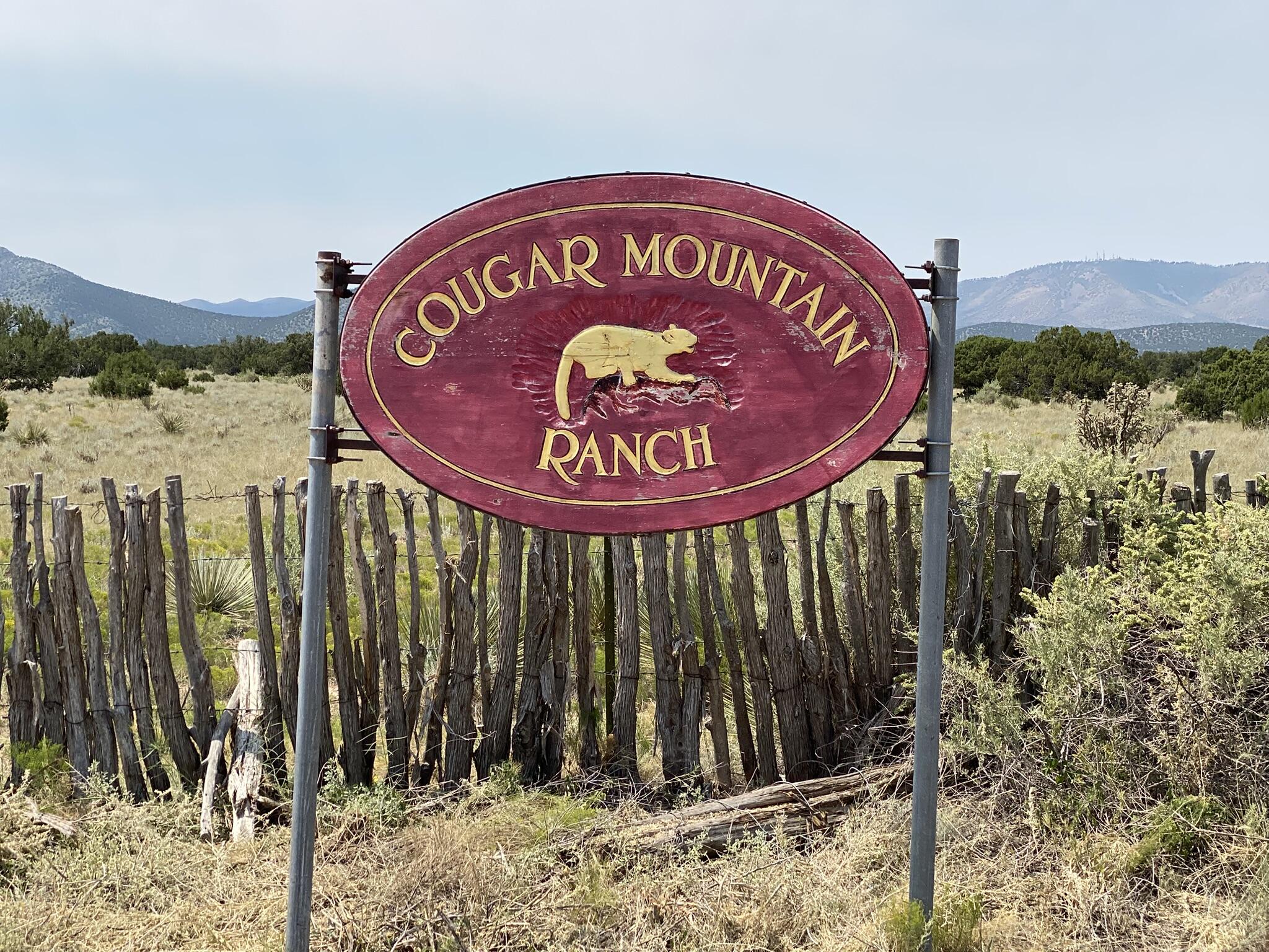 Homes for sale in Corona, NM | Elk Rd Tract 7 Rd, Corona, NM 88318 | MLS# 1089937