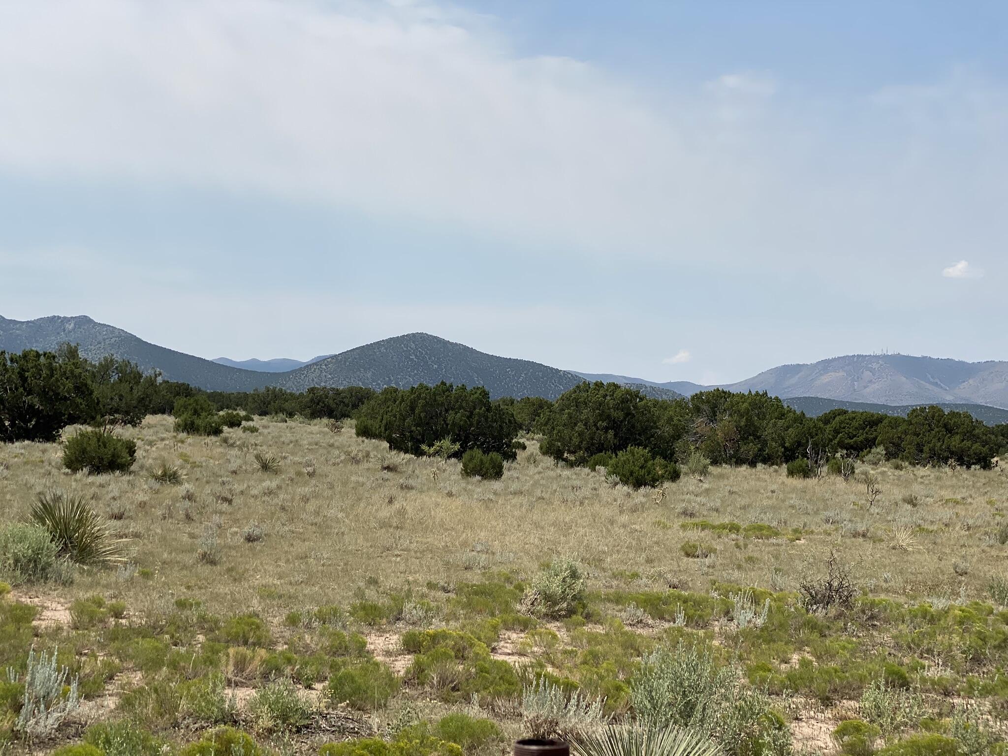 Homes for sale in Corona, NM | Elk Rd Tract 7 Rd, Corona, NM 88318 | MLS# 1089937