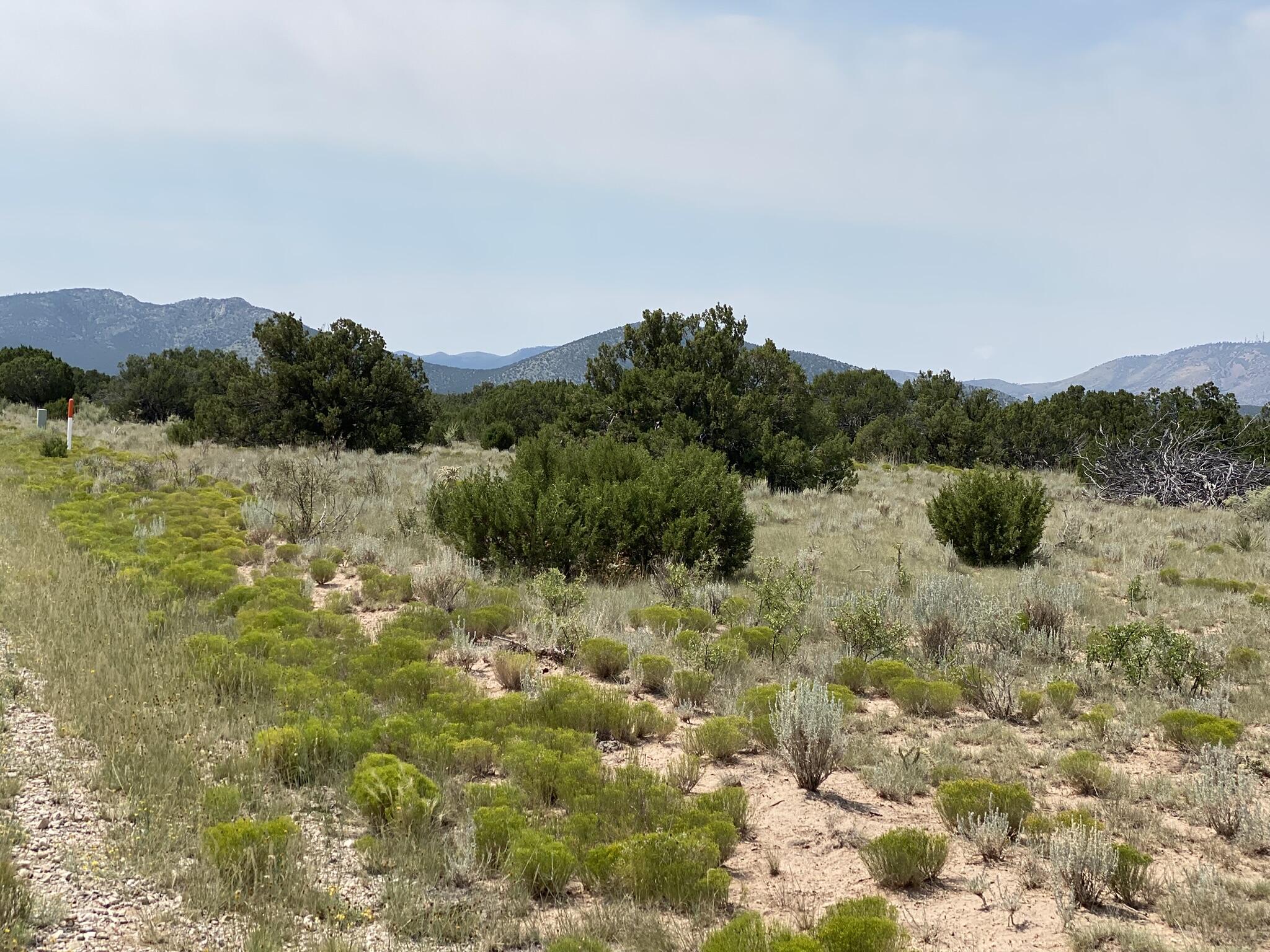 Homes for sale in Corona, NM | Elk Rd Tract 7 Rd, Corona, NM 88318 | MLS# 1089937