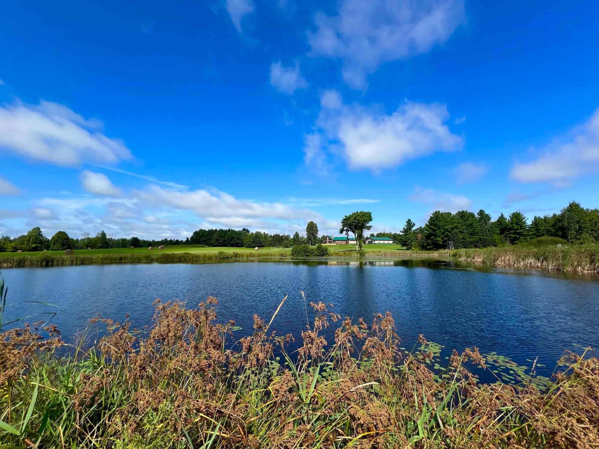 Undocumented Lake Property N1780 Hilmar Olson Rd Photo 23