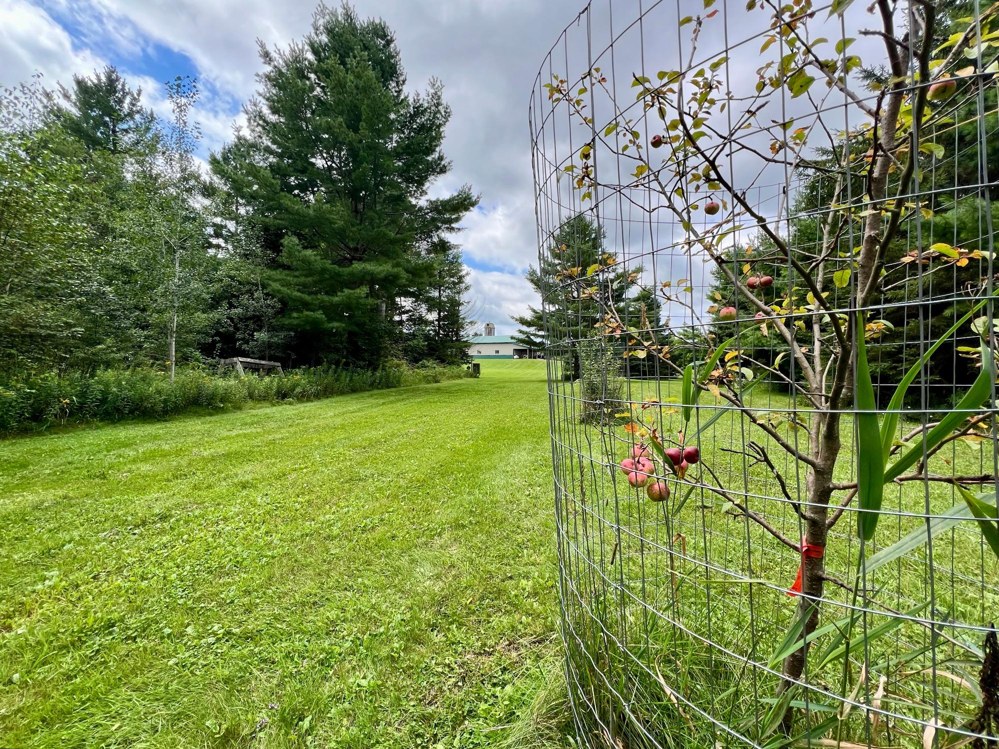 Undocumented Lake Property N1780 Hilmar Olson Rd Photo 38