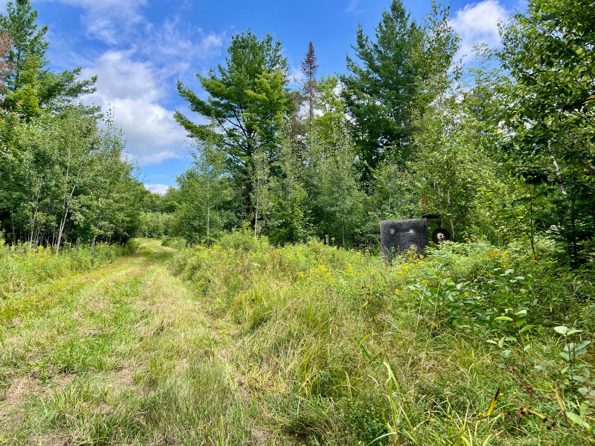 Undocumented Lake Property N1780 Hilmar Olson Rd Photo 49