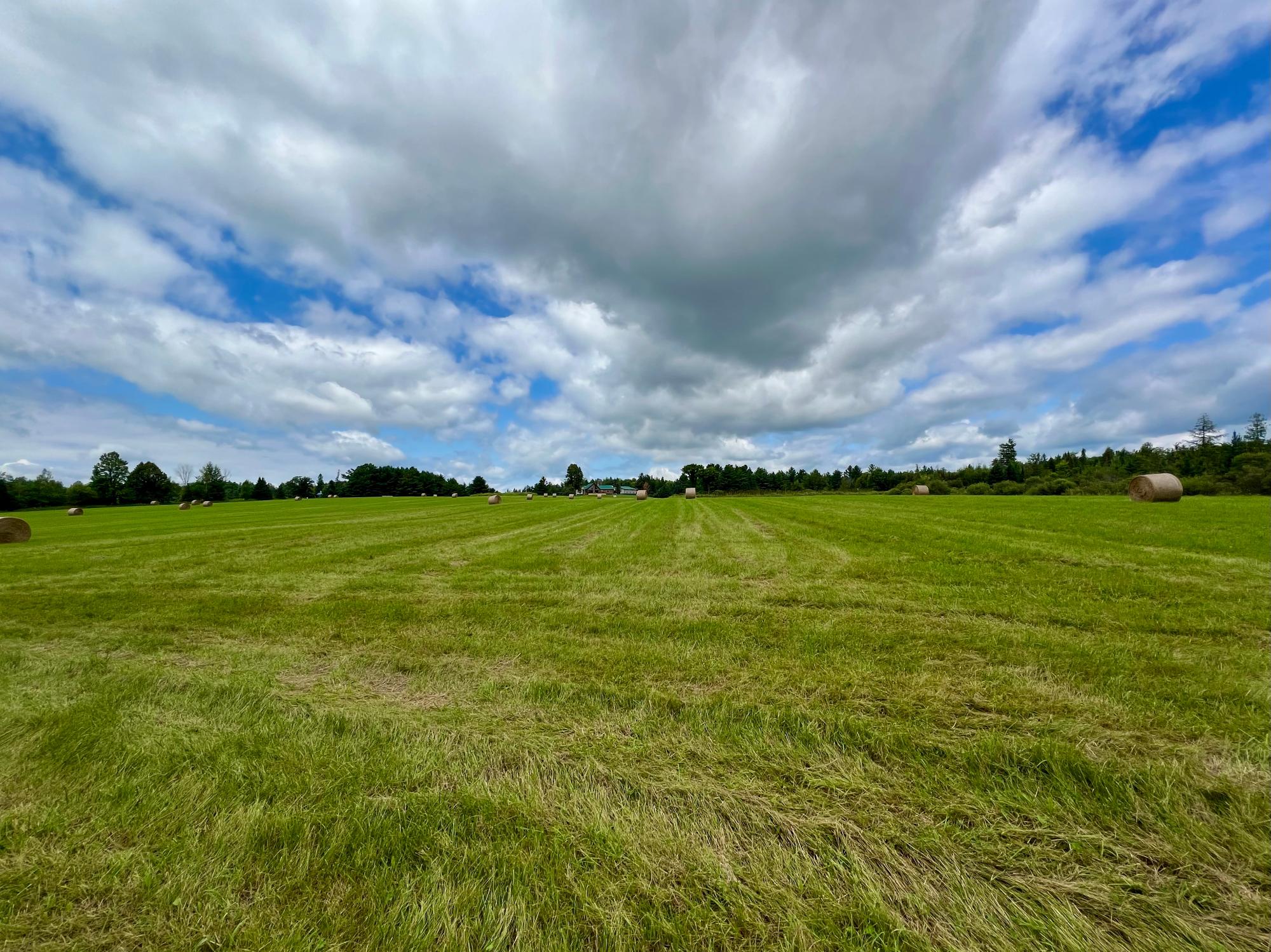 Undocumented Lake Property N1780 Hilmar Olson Rd Photo 50