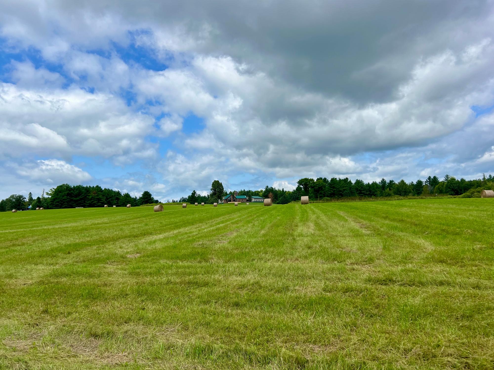 Undocumented Lake Property N1780 Hilmar Olson Rd Photo 51