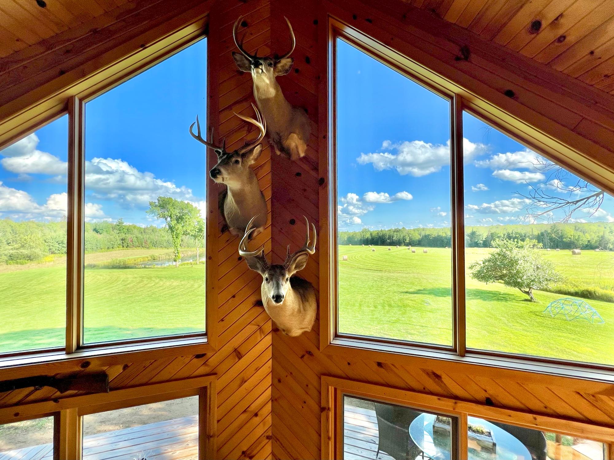 Undocumented Lake Property N1780 Hilmar Olson Rd Photo 86