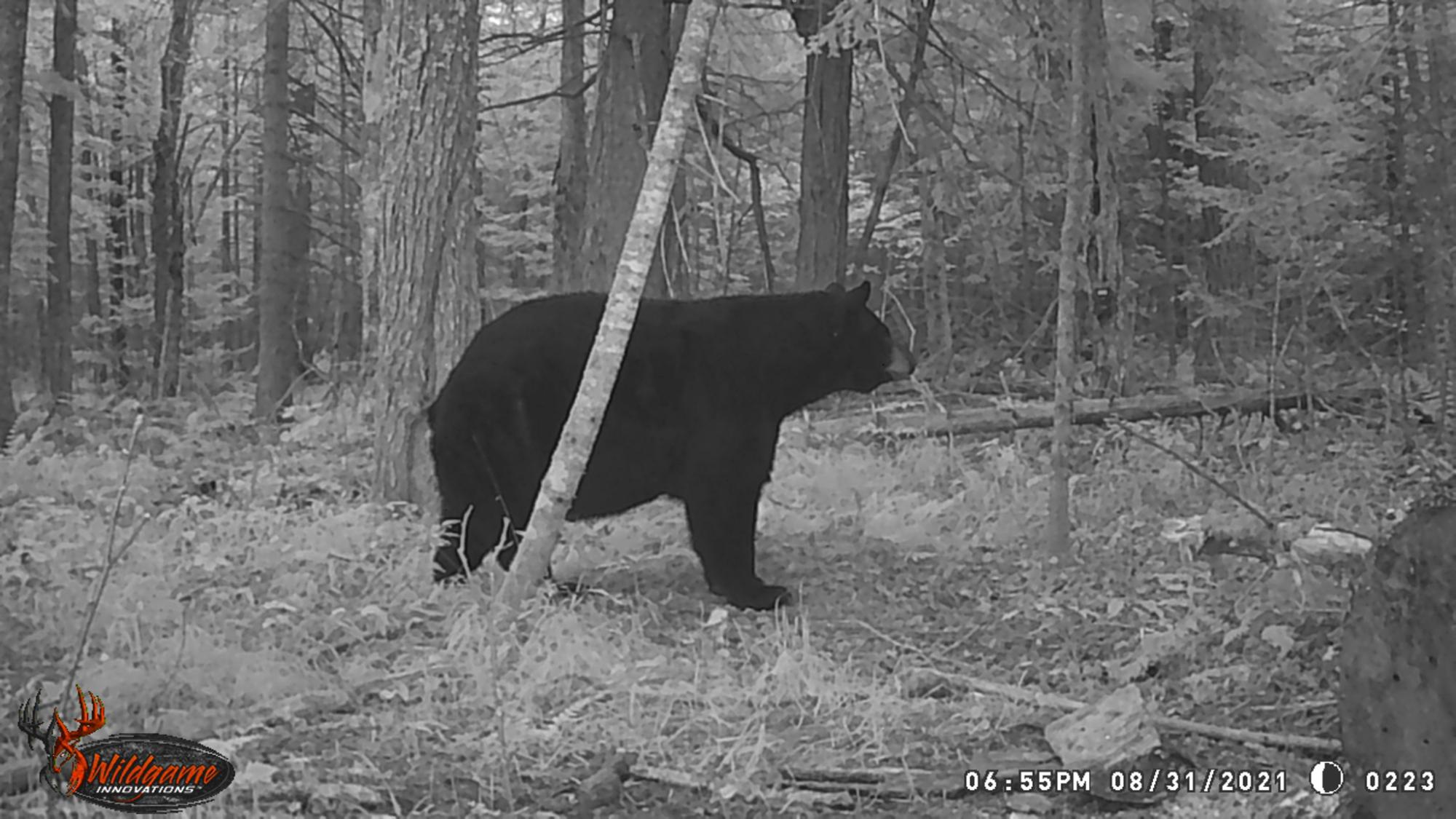 Undocumented Lake Property N1780 Hilmar Olson Rd Photo 90