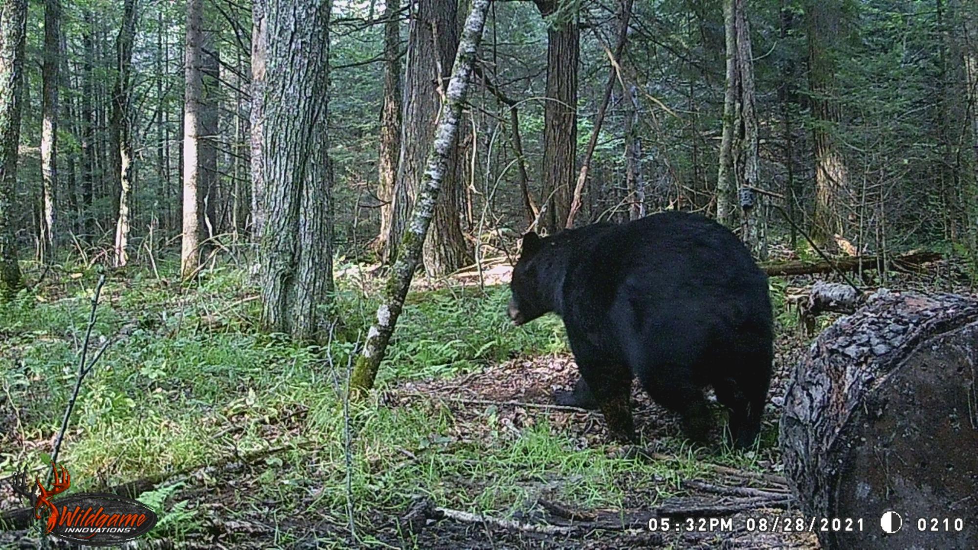 Undocumented Lake Property N1780 Hilmar Olson Rd Photo 91