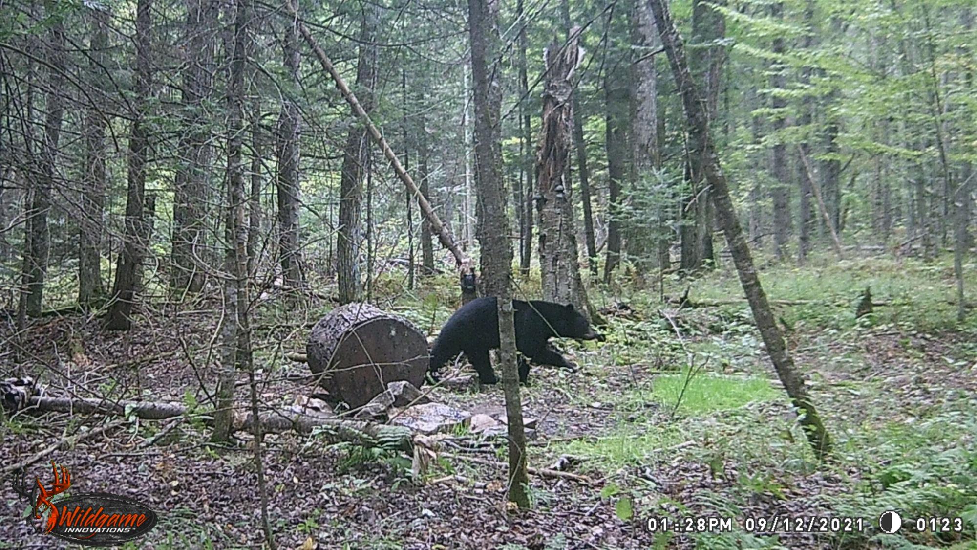 Undocumented Lake Property N1780 Hilmar Olson Rd Photo 96