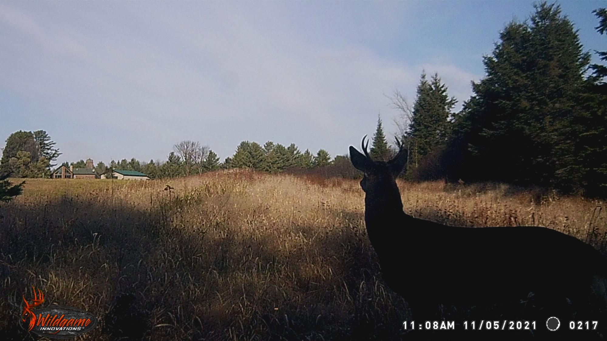 Undocumented Lake Property N1780 Hilmar Olson Rd Photo 97