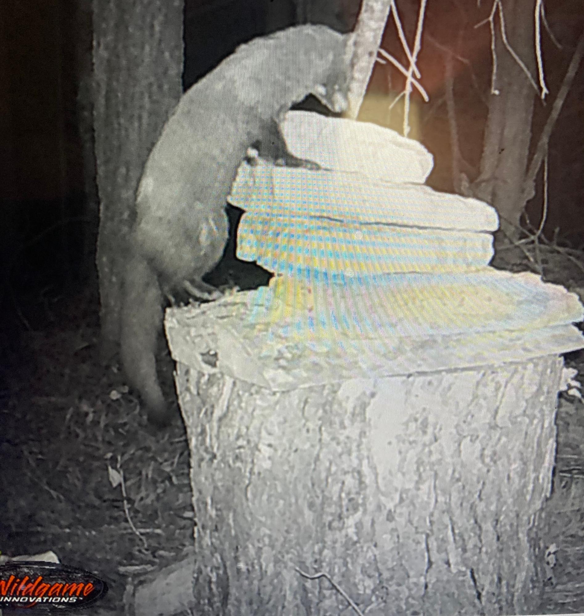 Undocumented Lake Property N1780 Hilmar Olson Rd Photo 98