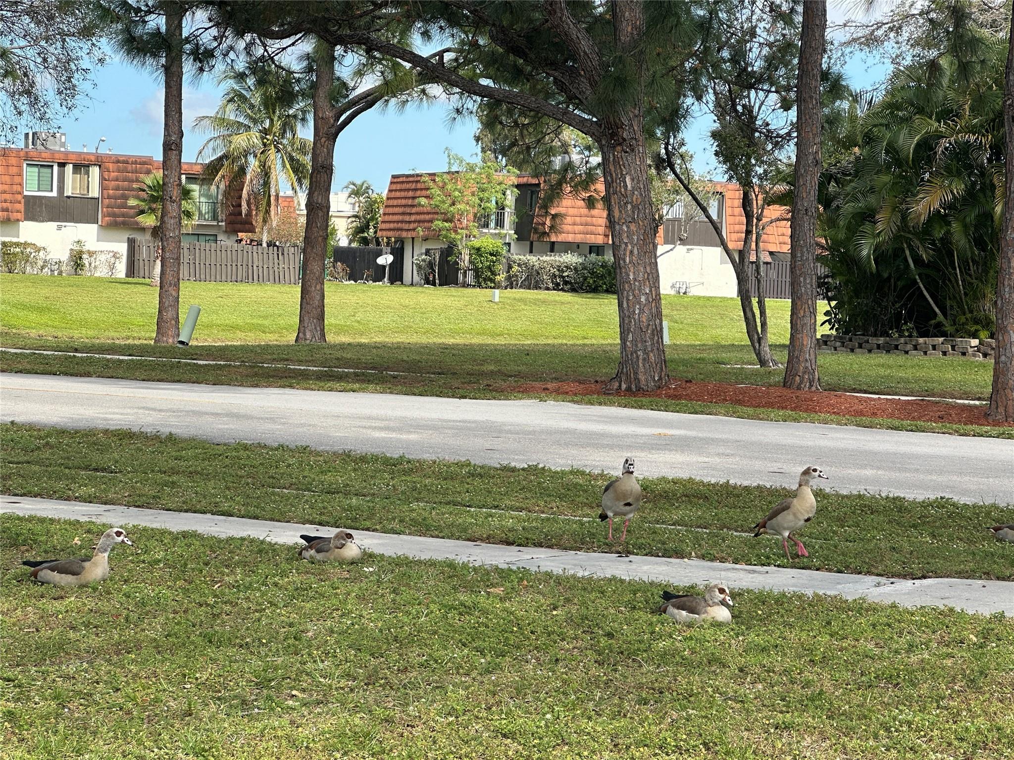 Homes for sale in Greenacres, FL | 2095 White Pine Cir #A, Greenacres, FL 33415 | MLS# F10513236