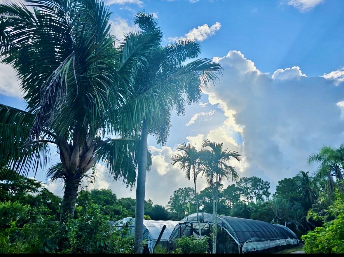 Homes for sale in Loxahatchee, FL | 3730 161st Ter N, Loxahatchee, FL 33470 | MLS# F10521179