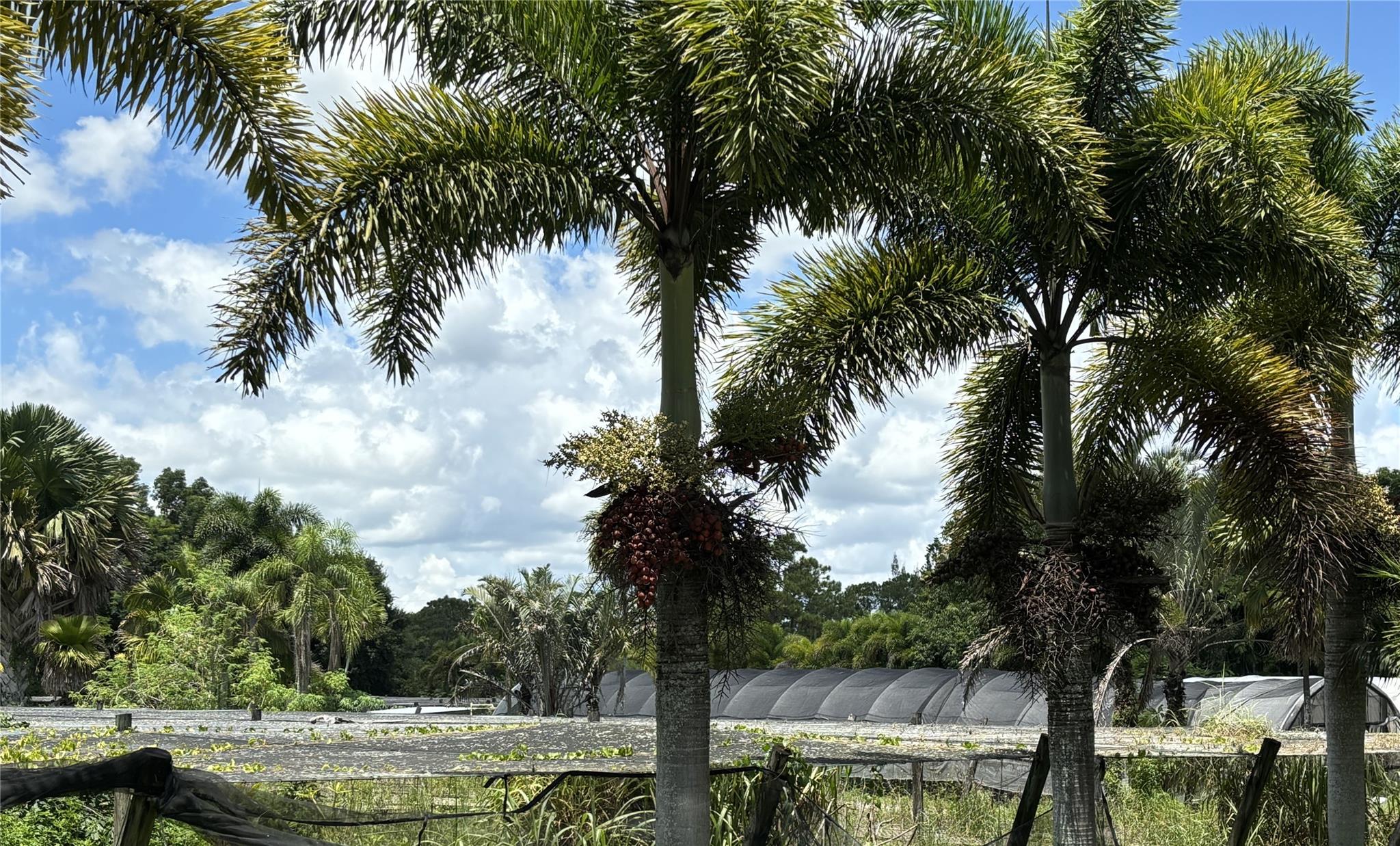 Homes for sale in Loxahatchee, FL | 3730 161St Ter N, Loxahatchee, FL 33470 | MLS# F10521179