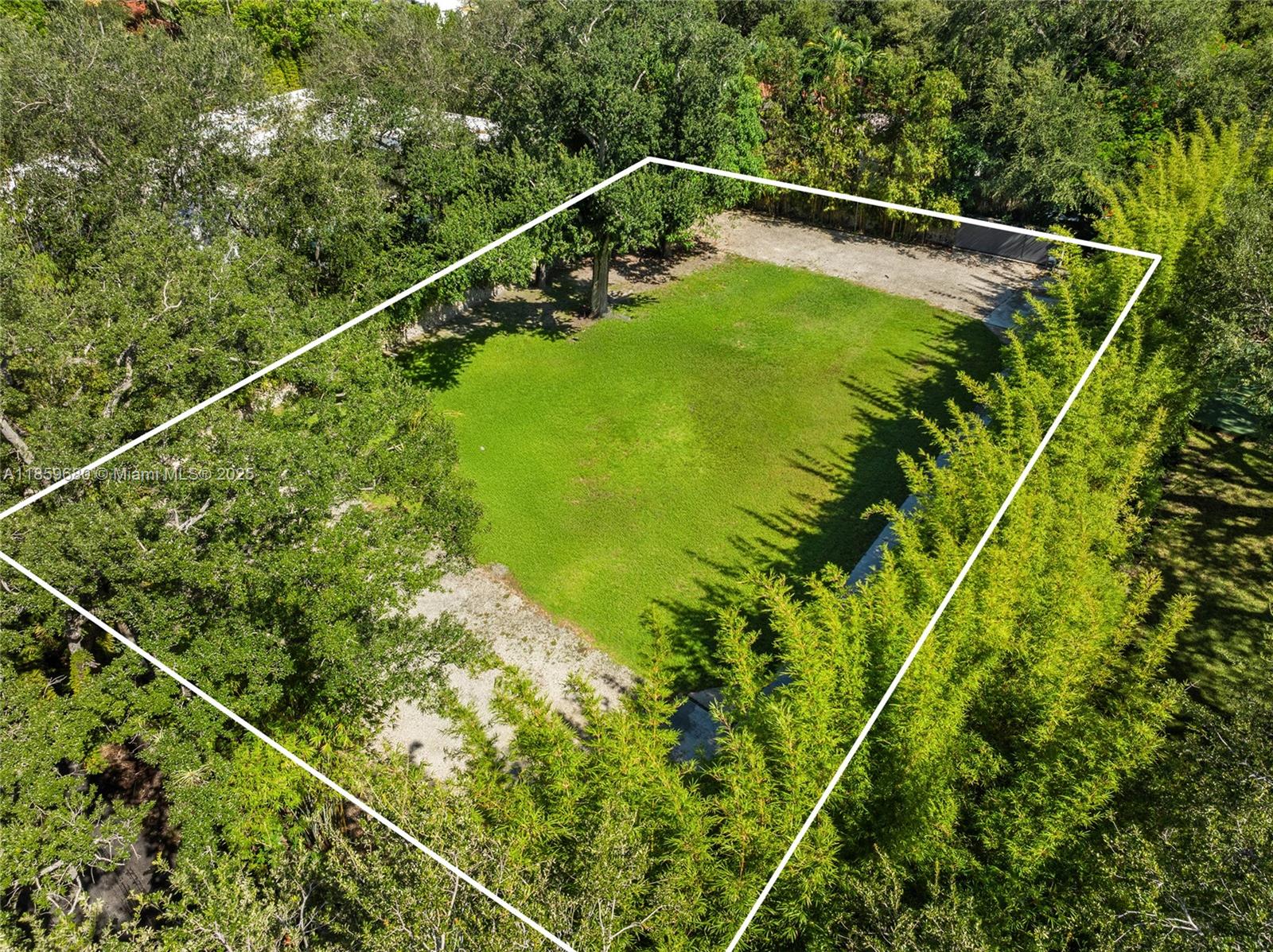 Ye Little Wood Amnd Plat