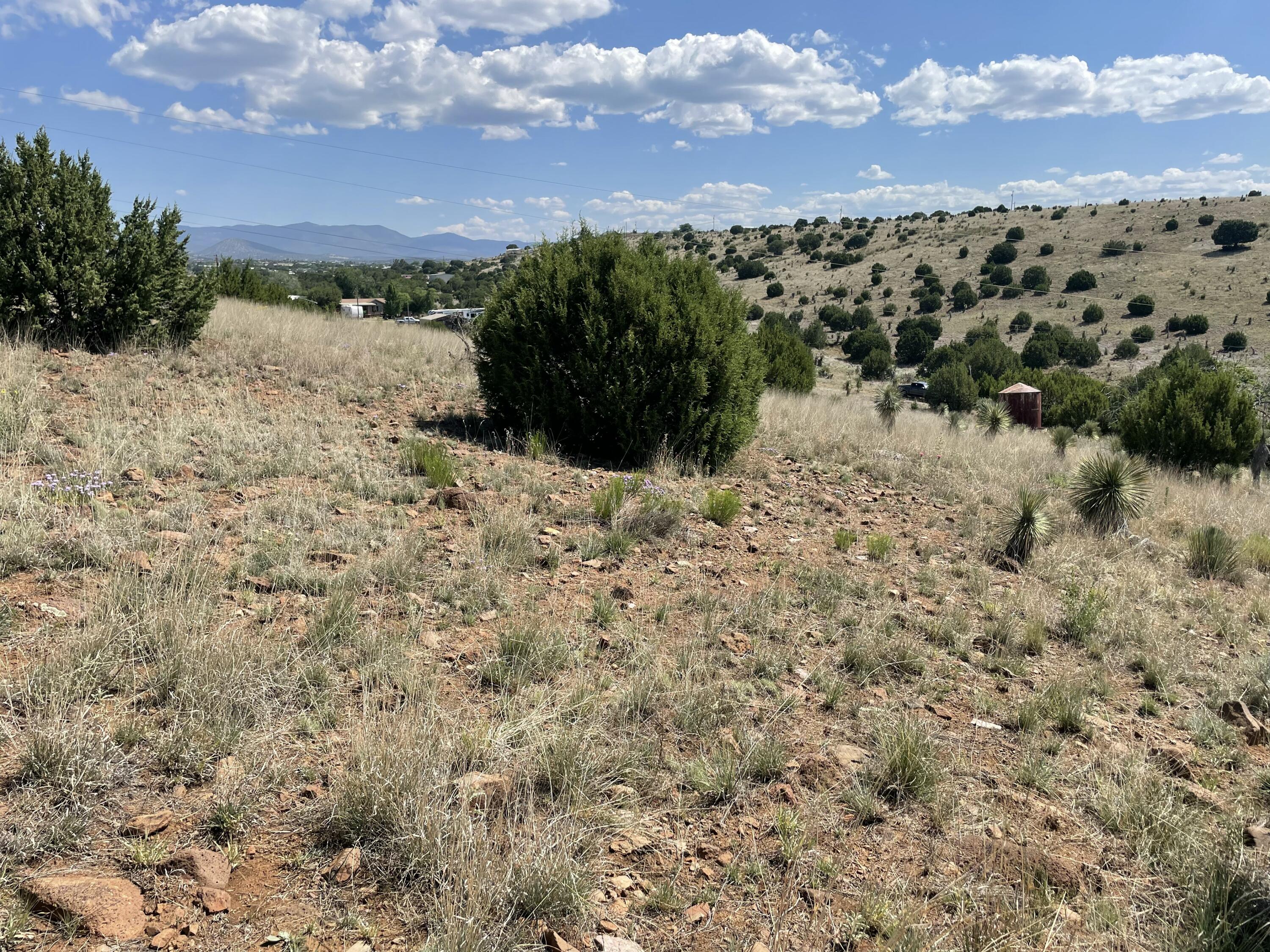 Homes for sale in Silver City, NM | 191 Kirkland Rd, Silver City, NM 88061 | MLS# 1089973