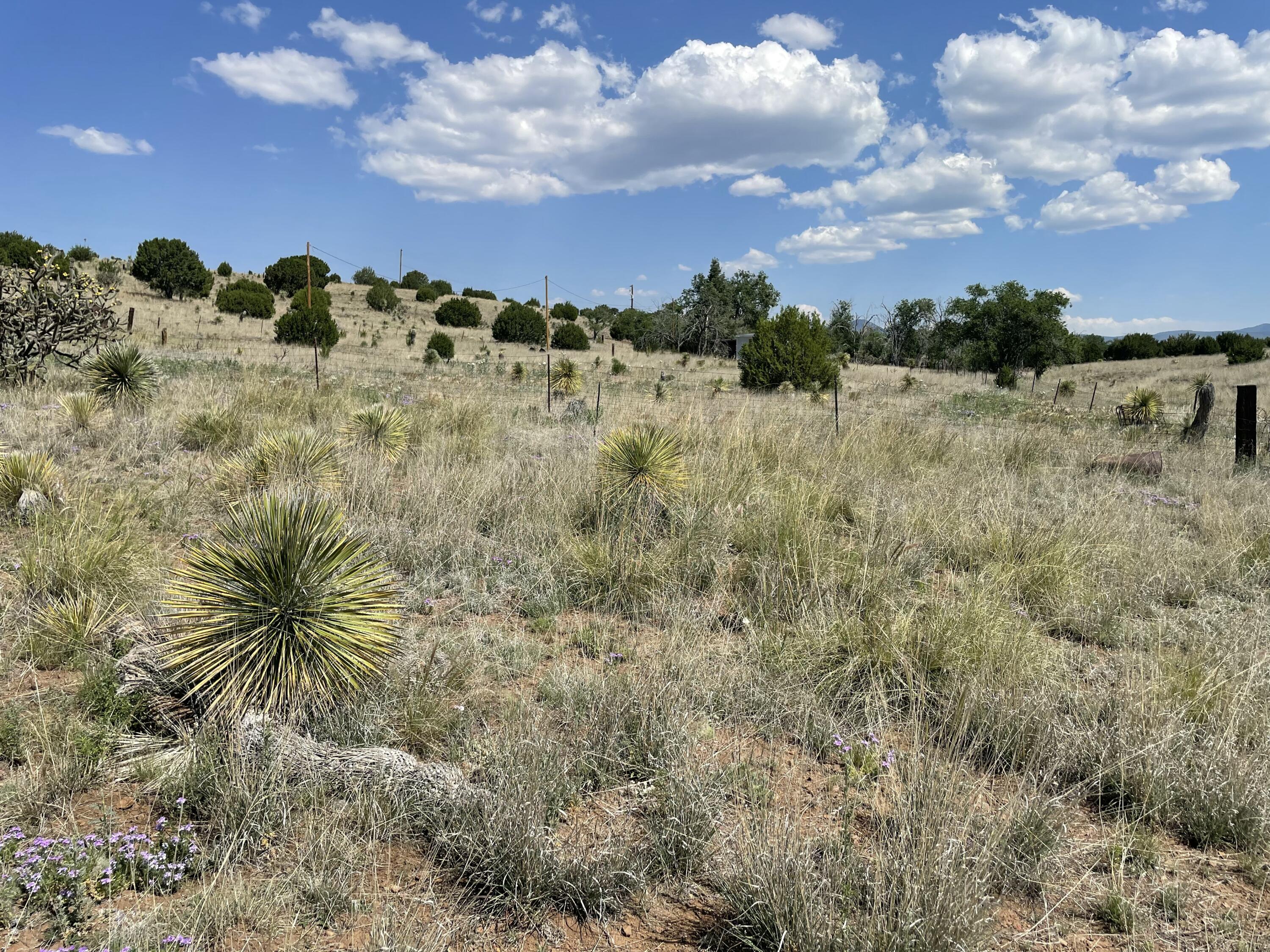 Homes for sale in Silver City, NM | 191 Kirkland Rd, Silver City, NM 88061 | MLS# 1089973