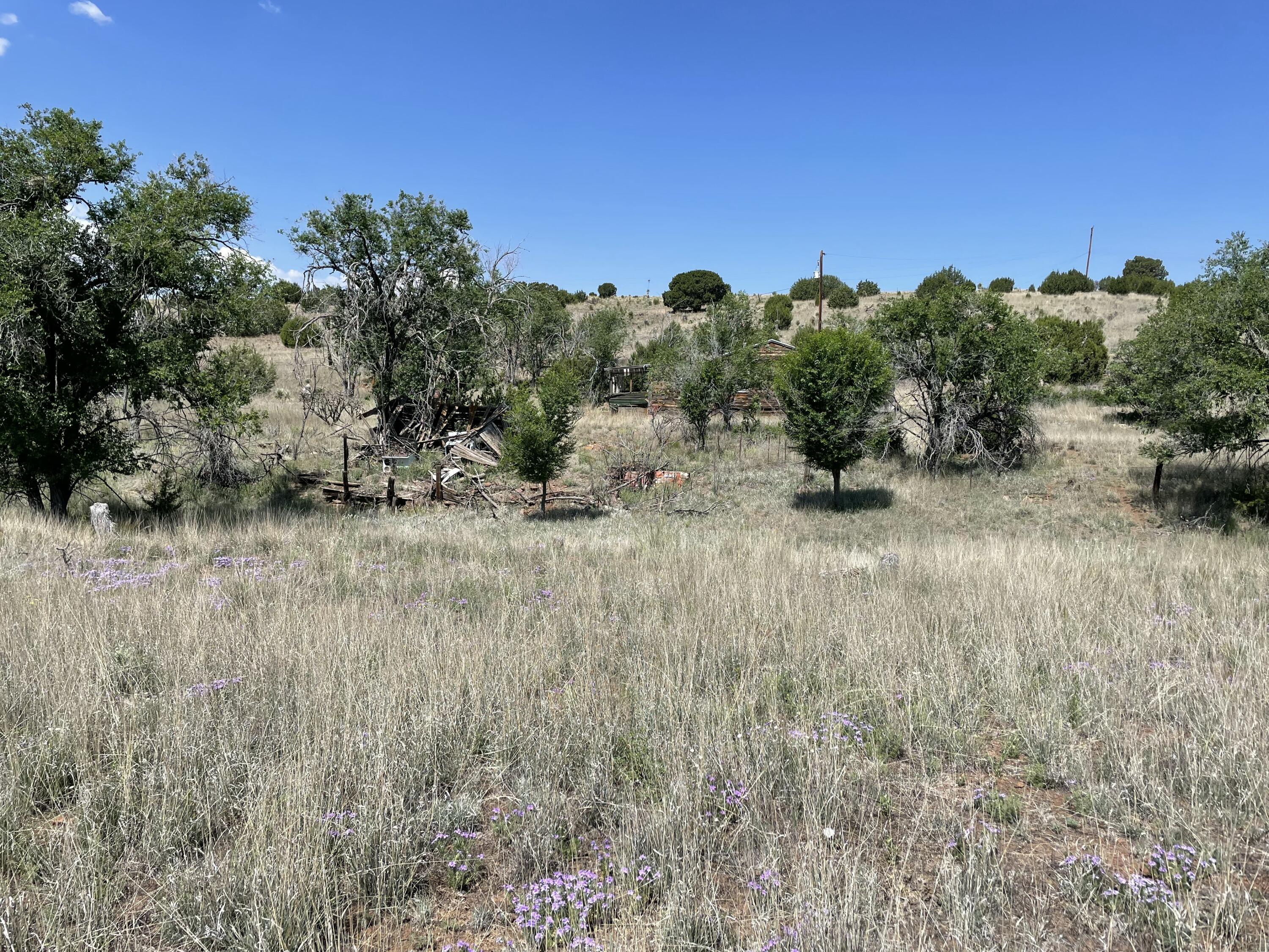 Homes for sale in Silver City, NM | 191 Kirkland Rd, Silver City, NM 88061 | MLS# 1089973