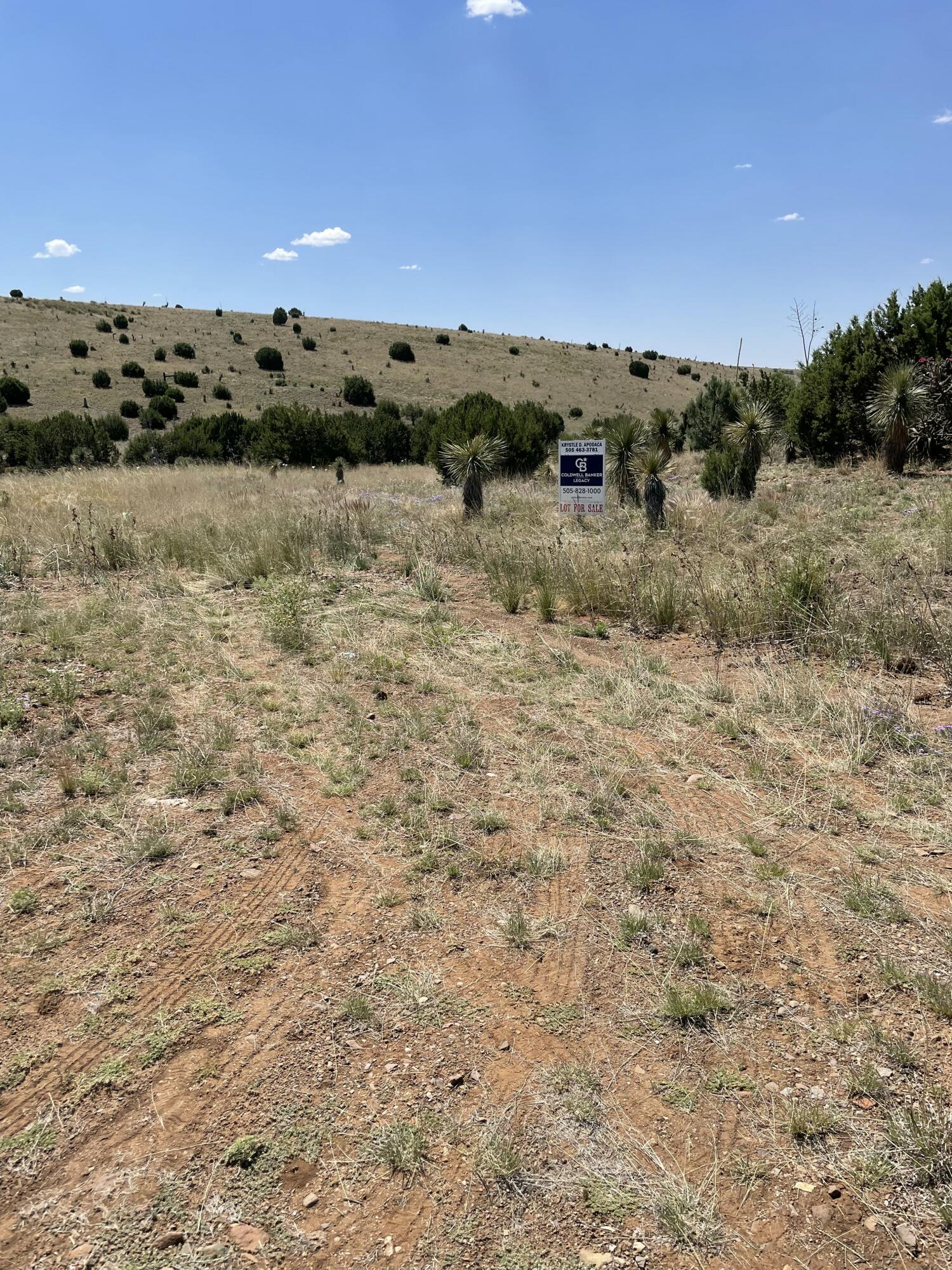 Homes for sale in Silver City, NM | 191 Kirkland Rd, Silver City, NM 88061 | MLS# 1089973