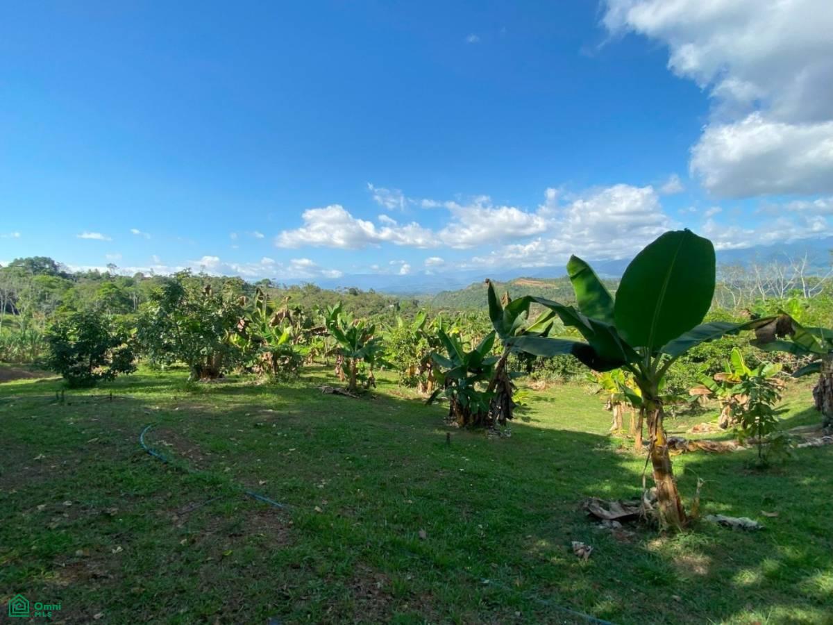 0 bed Land For Sale in , San Jose - 1