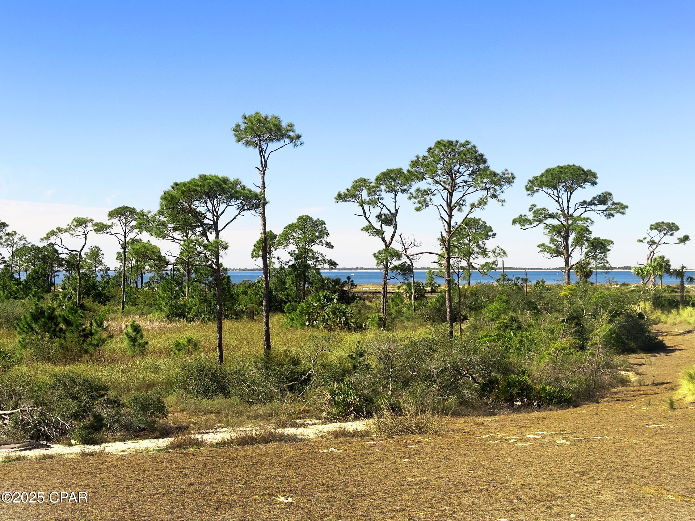 Image 3 For 204 Pond Cypress Cove