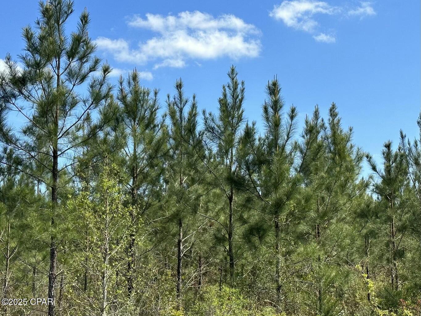 Image 4 For Tract#6416 Brock Road