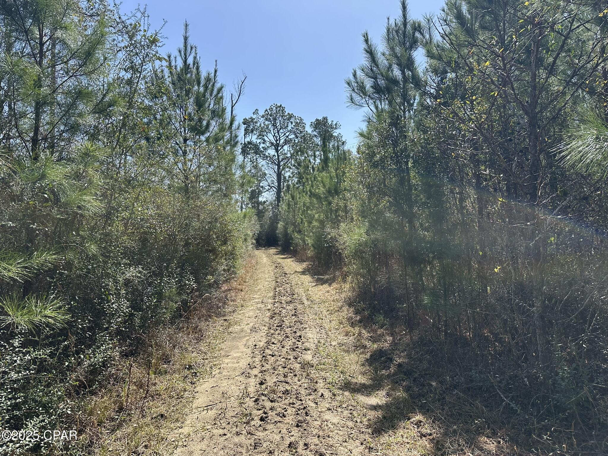 Image 10 For Tract#6416 Douglas Ferry North