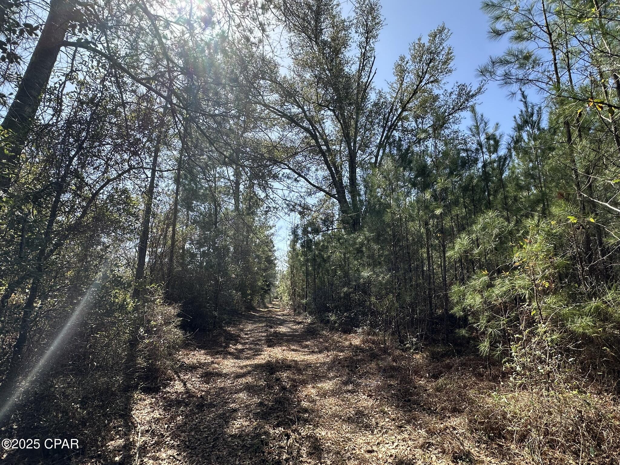 Image 11 For Tract#6416 Douglas Ferry North