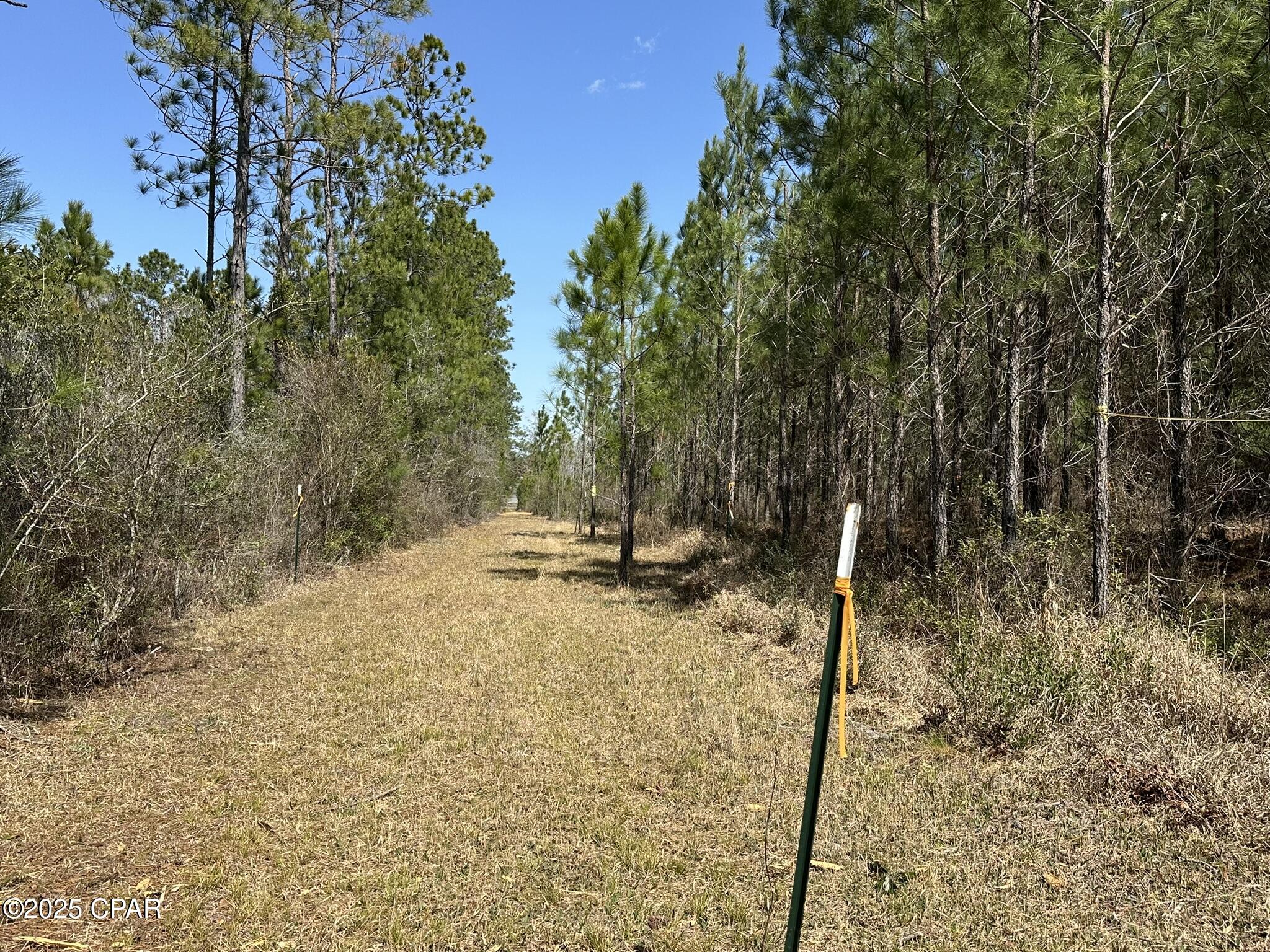 Image 12 For Tract#6416 Douglas Ferry North