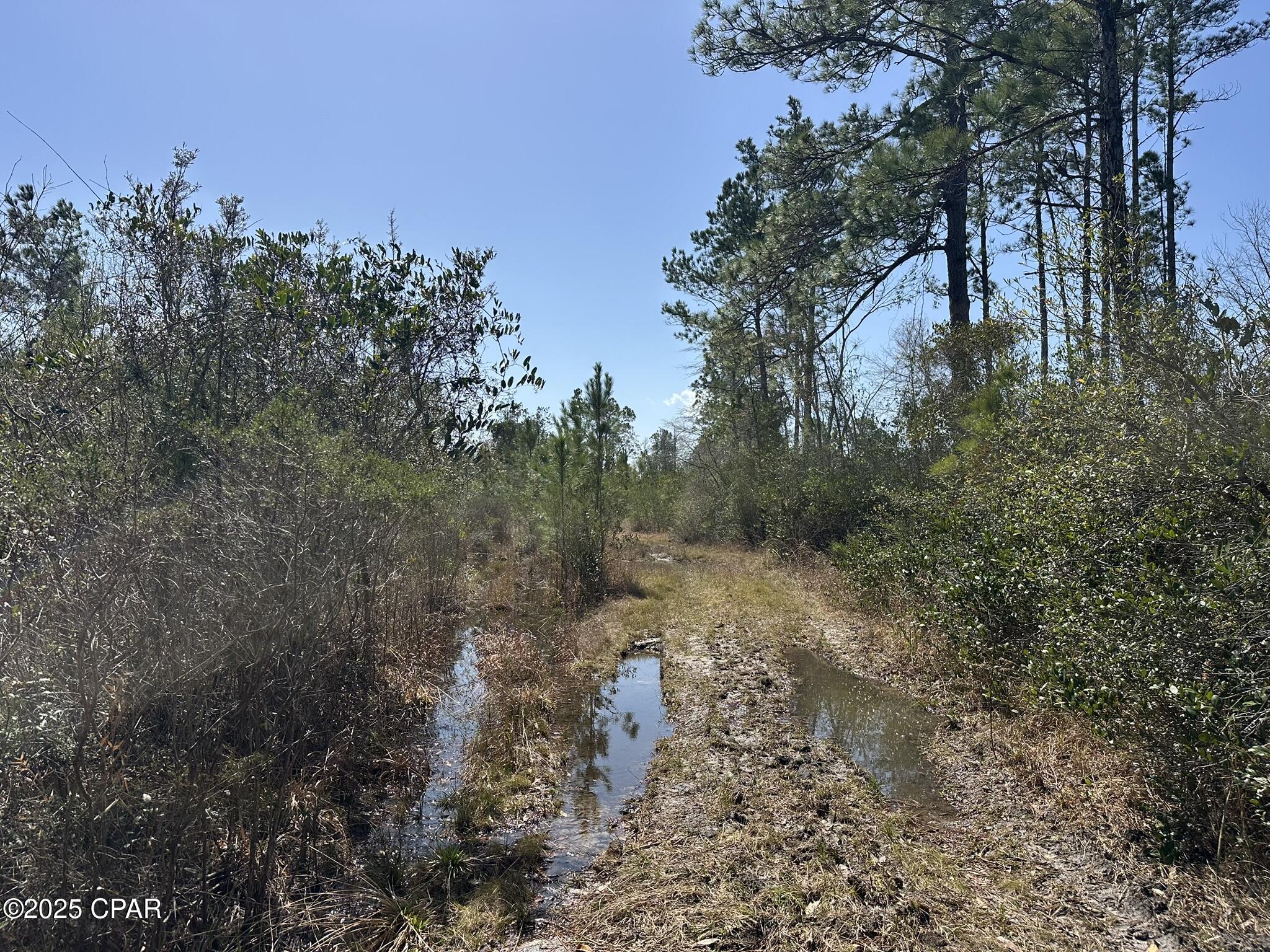 Image 13 For Tract#6416 Douglas Ferry North