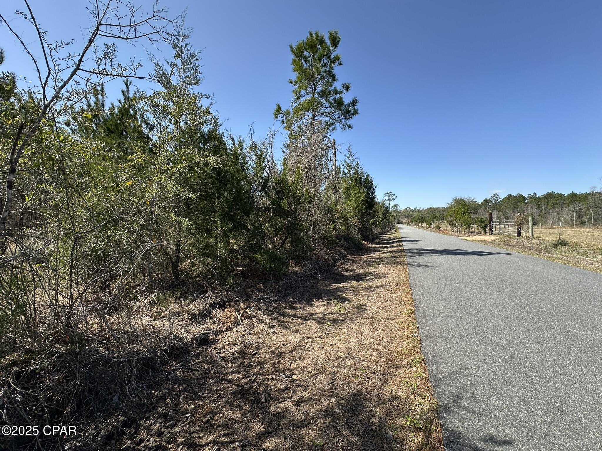 Image 9 For Tract#6416 Douglas Ferry North