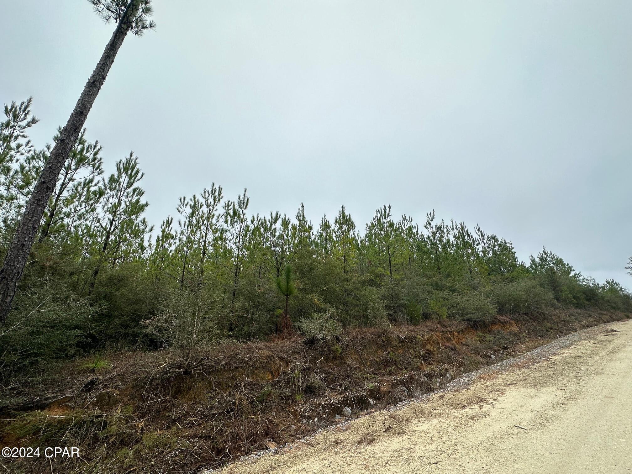 Homes for sale in Caryville, FL | Tract 6418 N Mattox Springs Rd #1, Caryville, FL 32427 | MLS# 777931