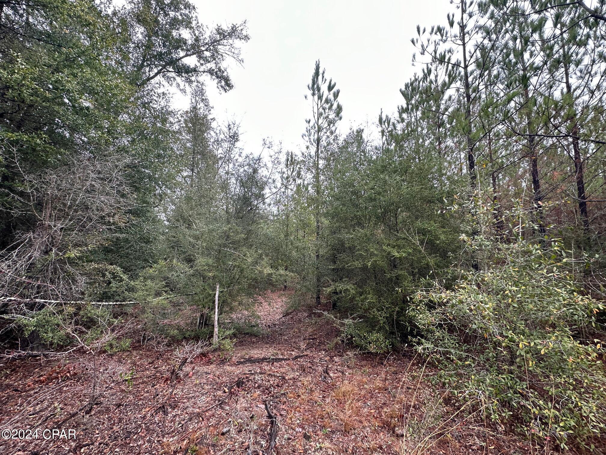 Homes for sale in Caryville, FL | Tract 6418 N Mattox Springs Rd #1, Caryville, FL 32427 | MLS# 777931