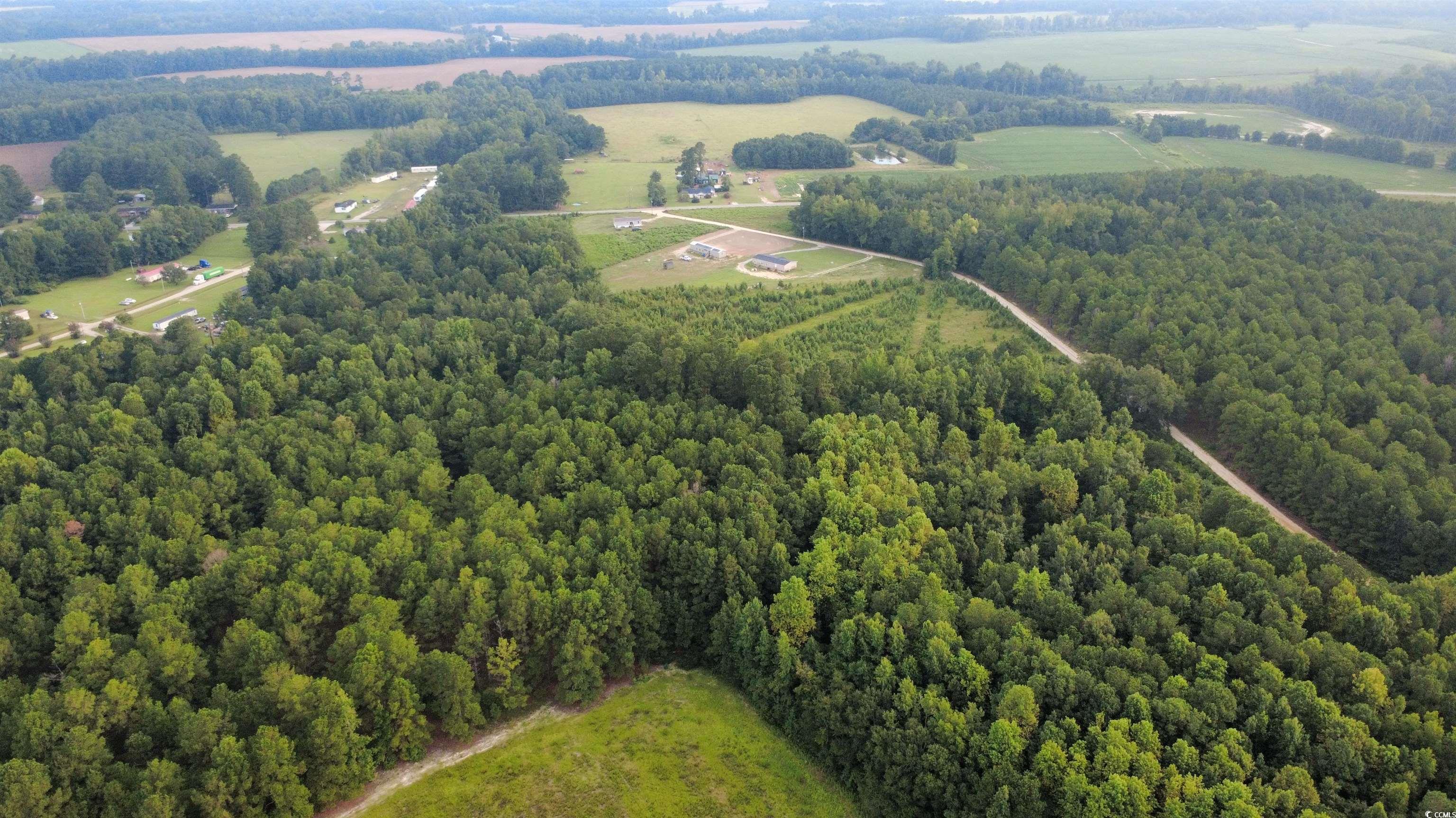 Lot 9 Tooge Hayes Rd. Mullins, SC 29574