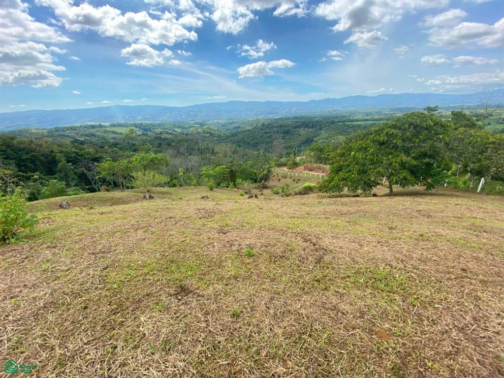 0 bed Land For Sale in Perez Zeledon, San Jose - 1