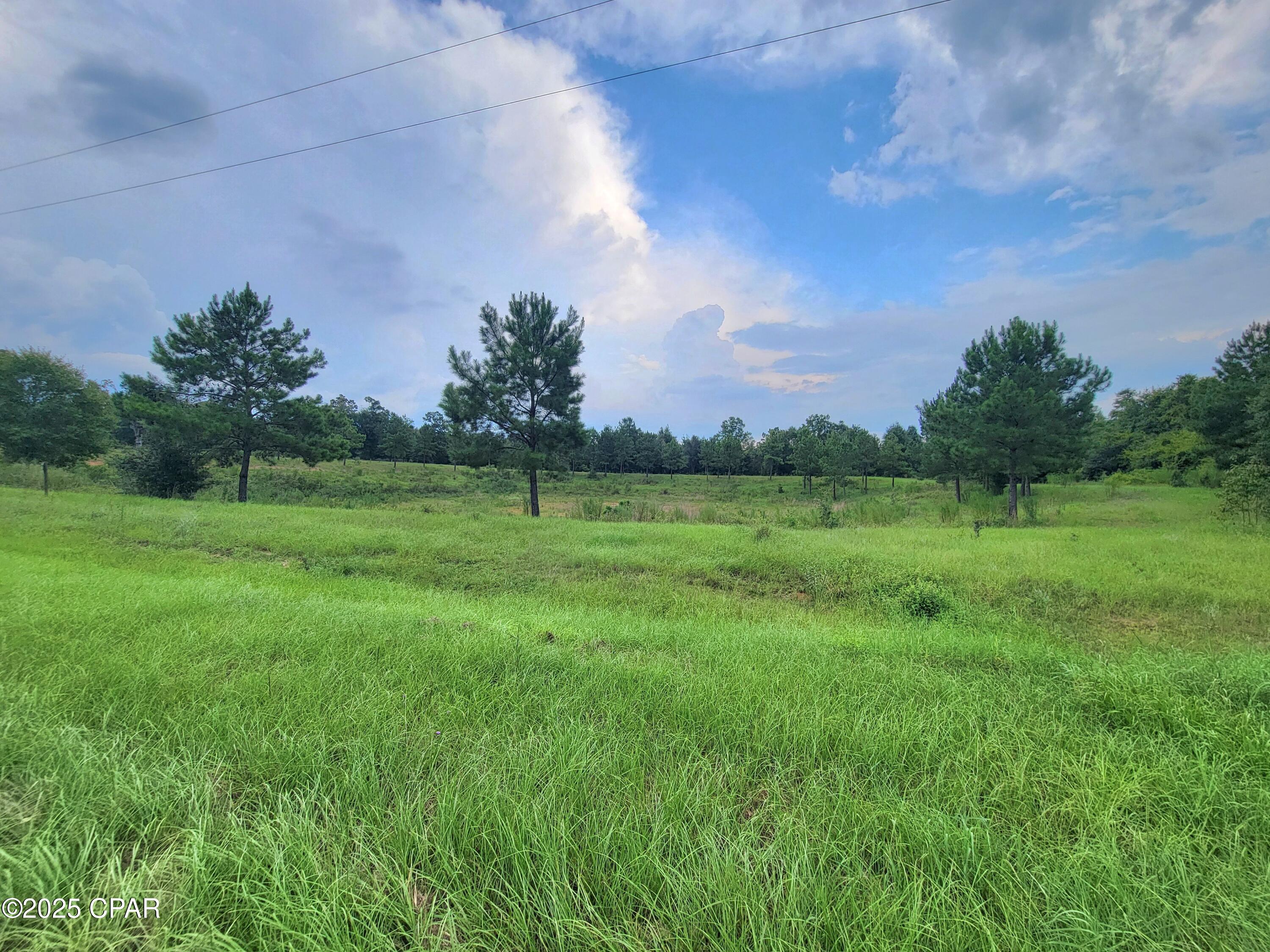 Details for 00 Lovedale Road, Bascom, FL 32423